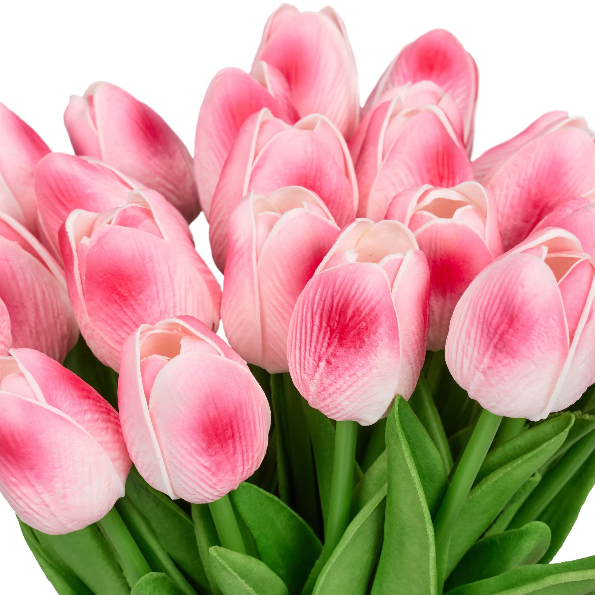 Künstliche Tulpen 24er-Set Grün-Pink von Relaxdays