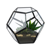 Geometrisches Pflanzenterrarium Glas Schwarz-Transparent von Relaxdays