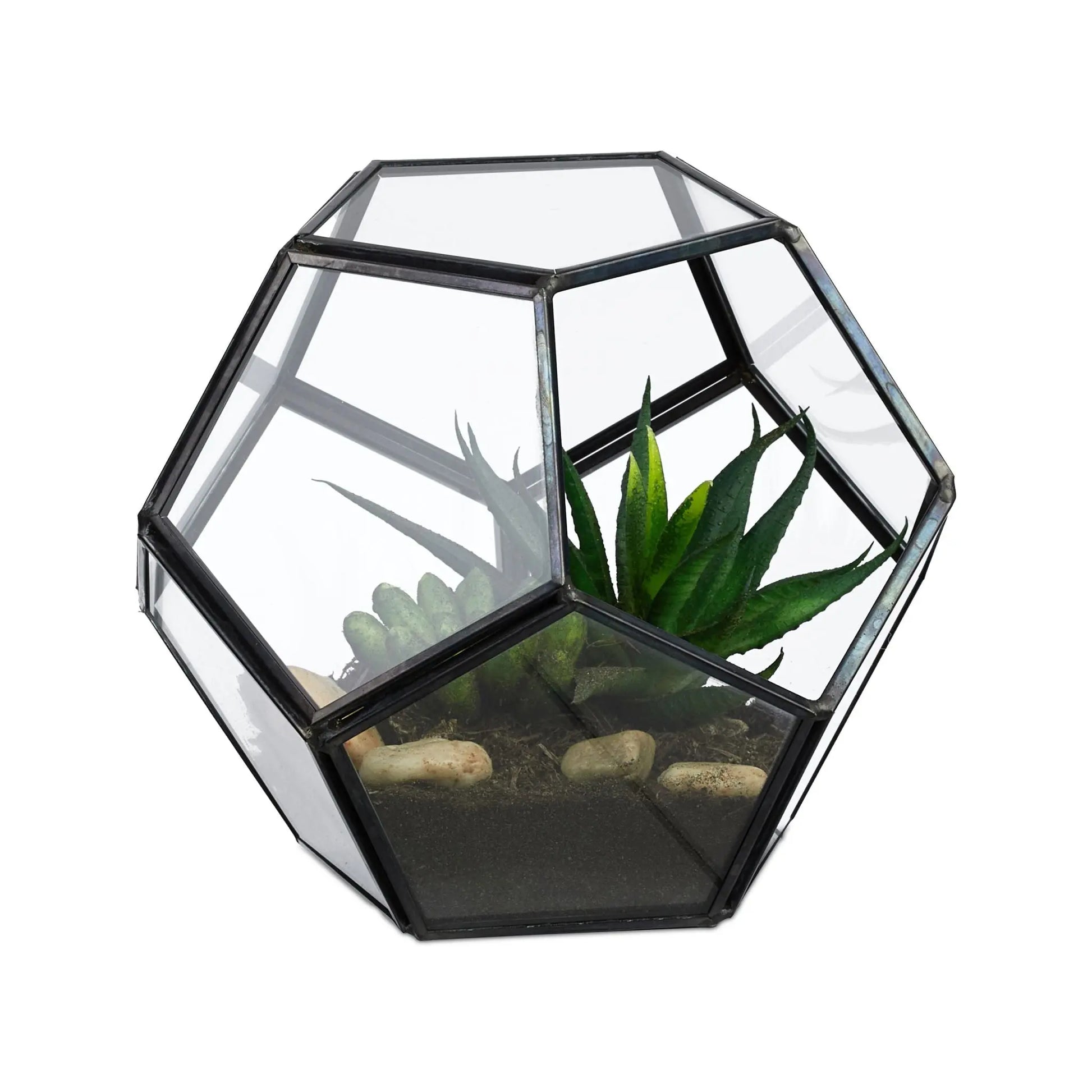 Geometrisches Pflanzenterrarium Glas Schwarz-Transparent von Relaxdays