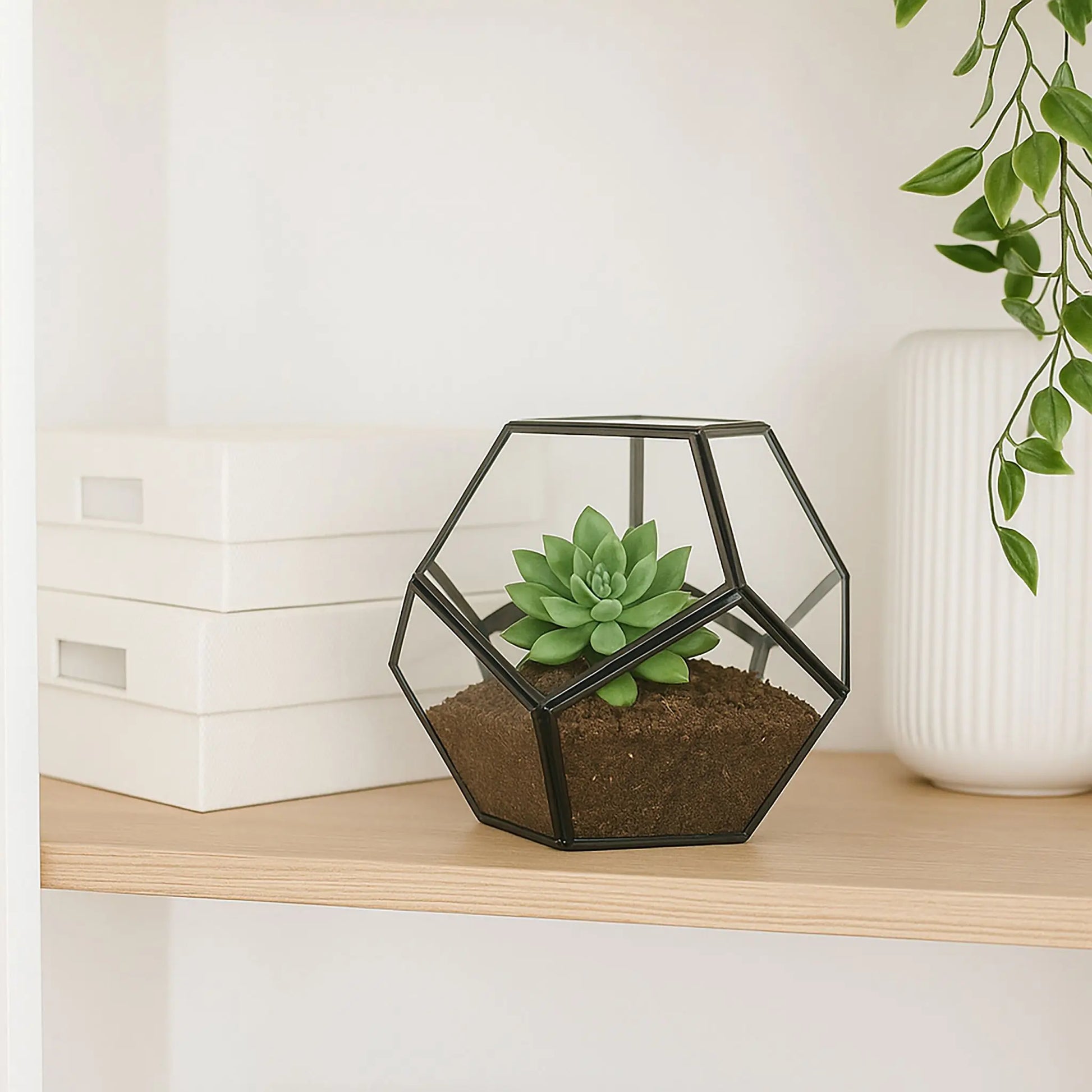 Geometrisches Pflanzenterrarium Glas Schwarz-Transparent von Relaxdays
