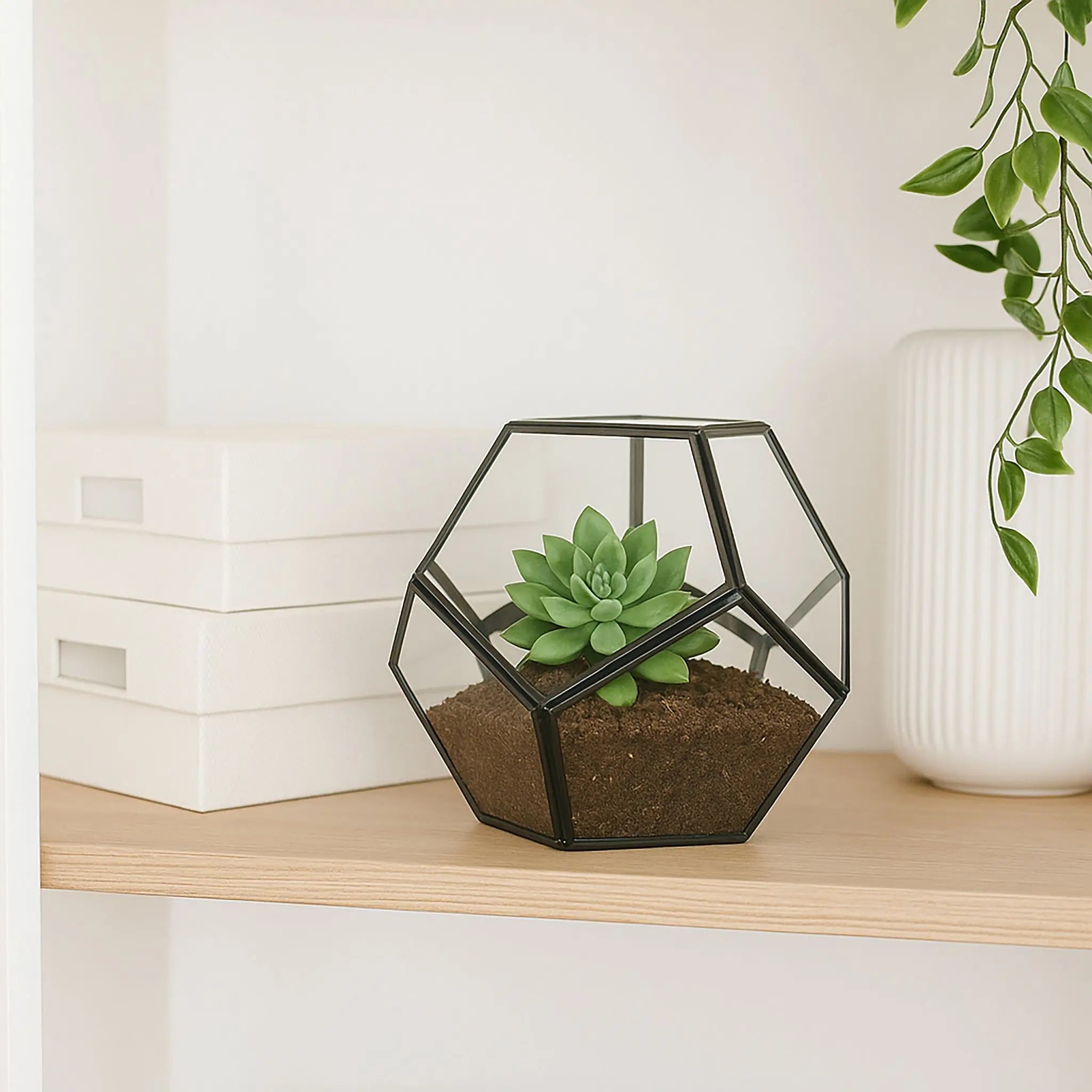 Geometrisches Pflanzenterrarium Glas Schwarz-Transparent von Relaxdays