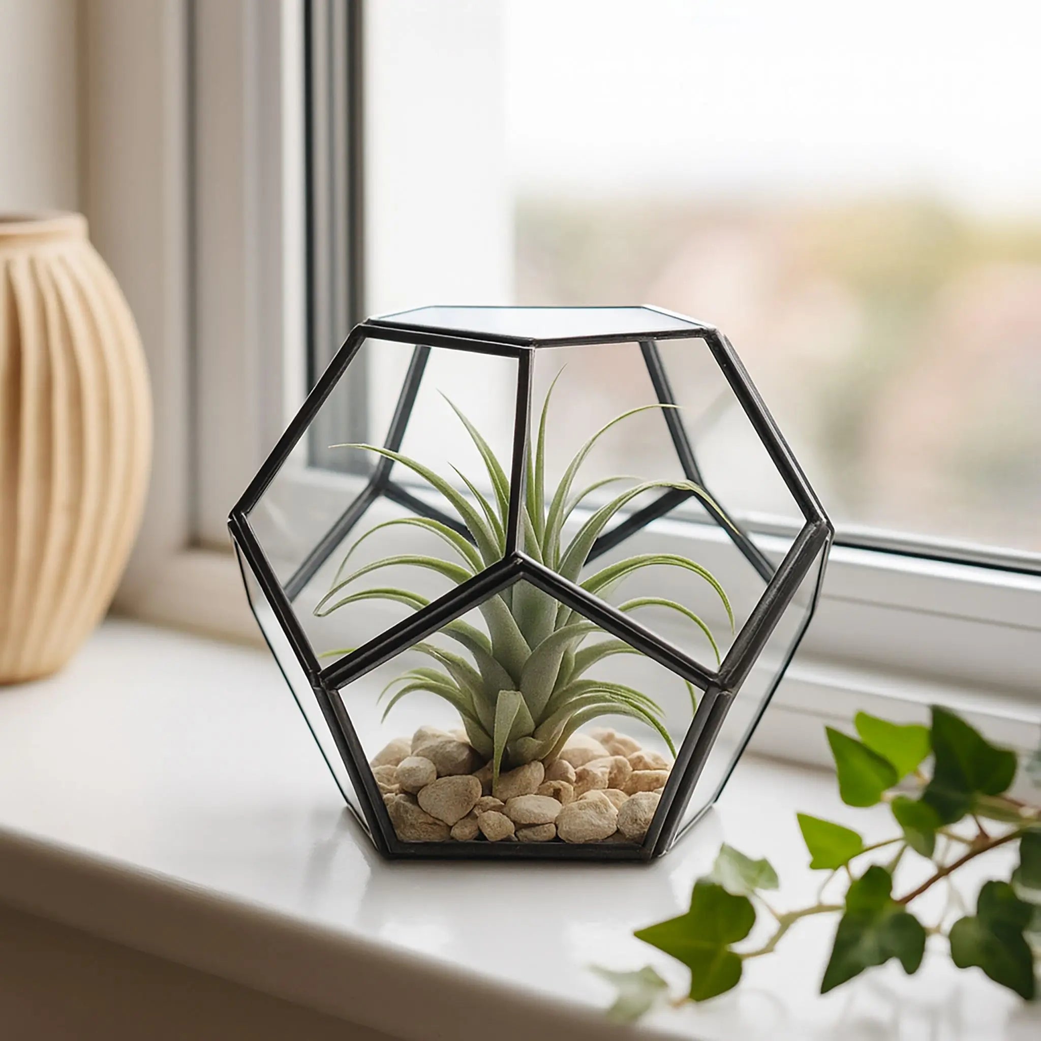 Geometrisches Pflanzenterrarium Glas Schwarz-Transparent von Relaxdays