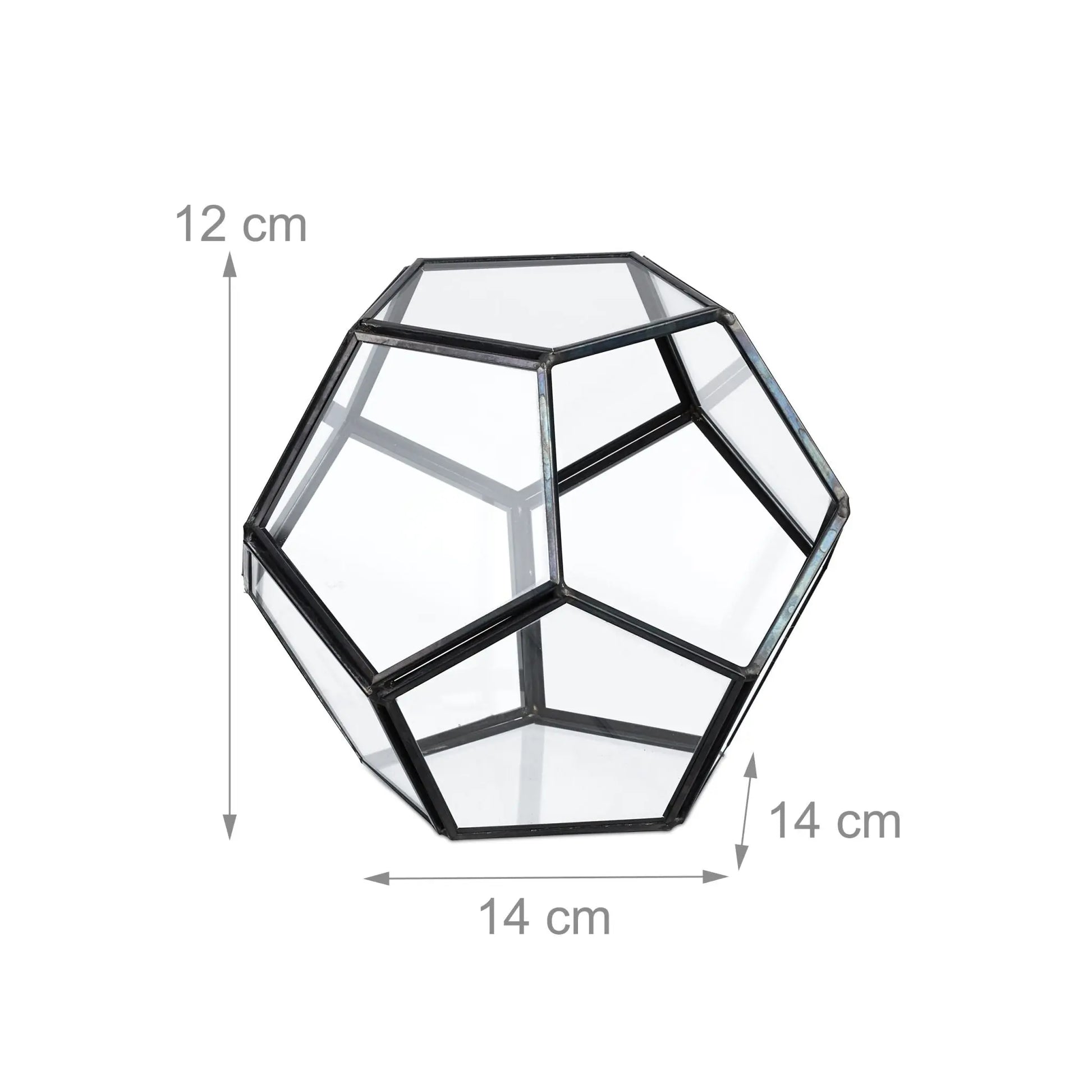 Geometrisches Pflanzenterrarium Glas Schwarz-Transparent von Relaxdays