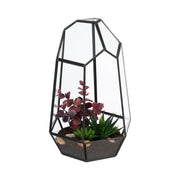 Geometrisches Pflanzenterrarium Glas Schwarz-Transparent von Relaxdays