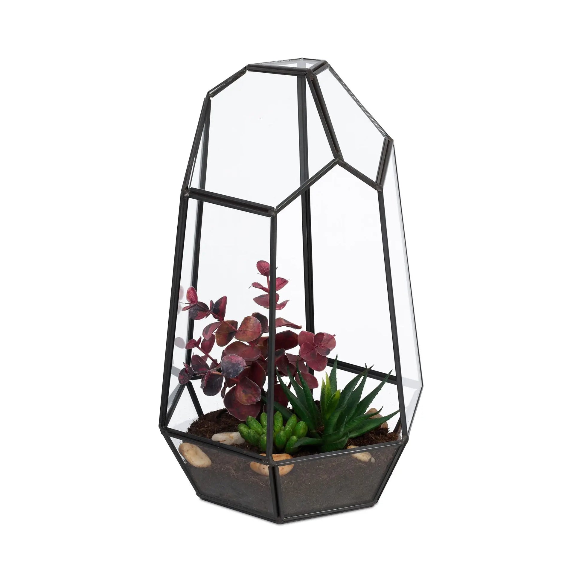 Geometrisches Pflanzenterrarium Glas Schwarz-Transparent von Relaxdays