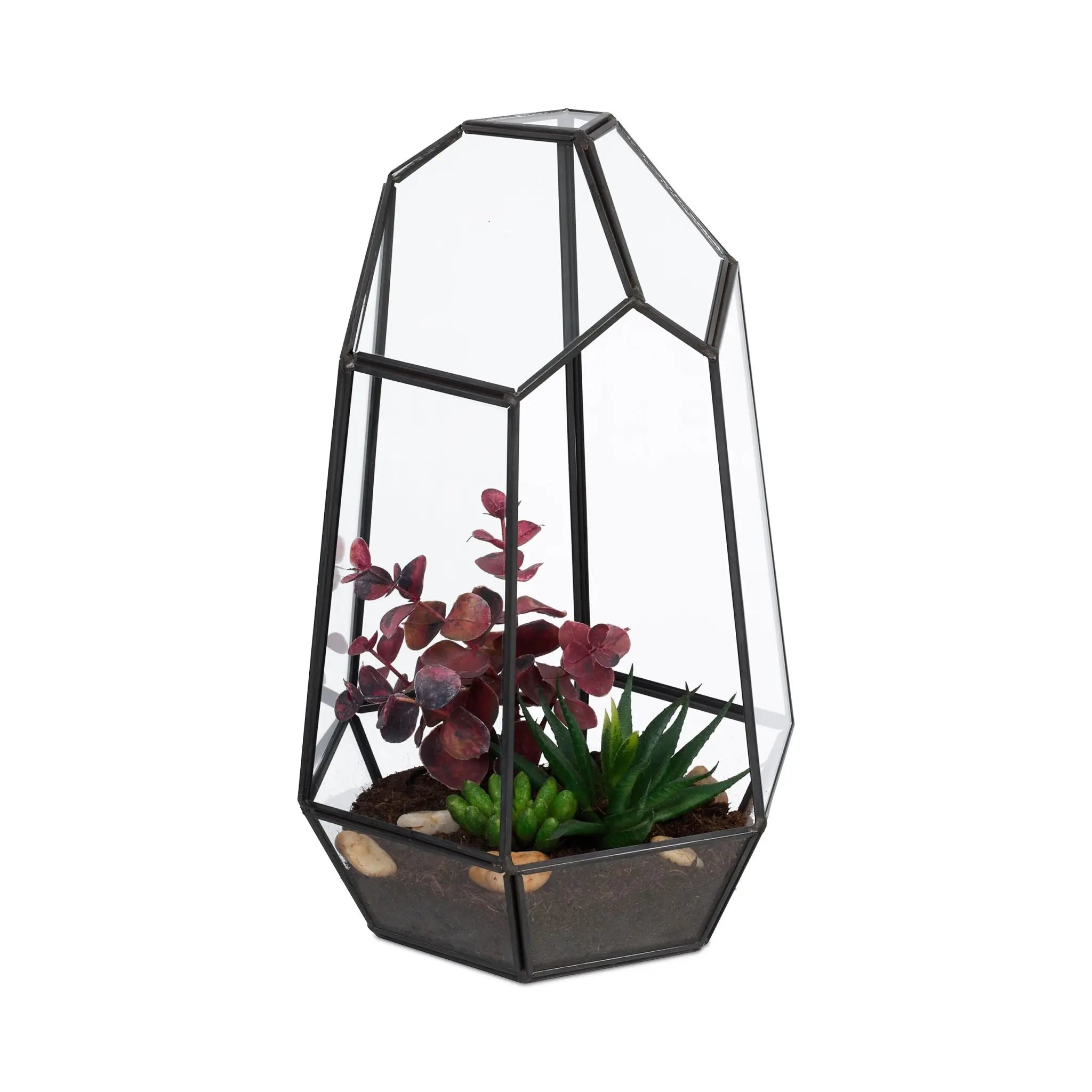 Geometrisches Pflanzenterrarium Glas Schwarz-Transparent von Relaxdays