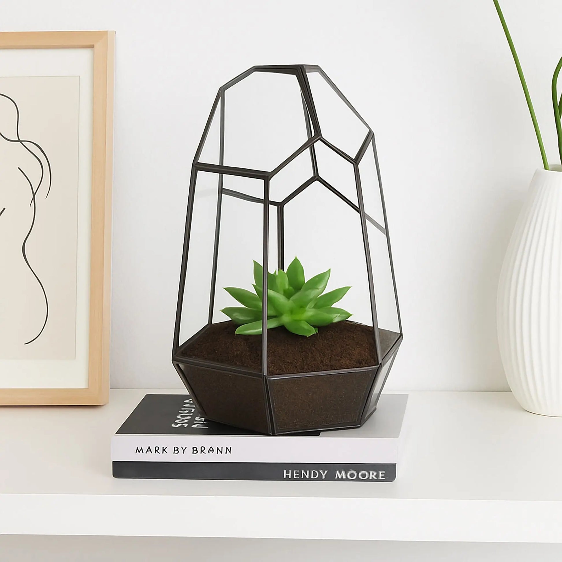 Geometrisches Pflanzenterrarium Glas Schwarz-Transparent von Relaxdays