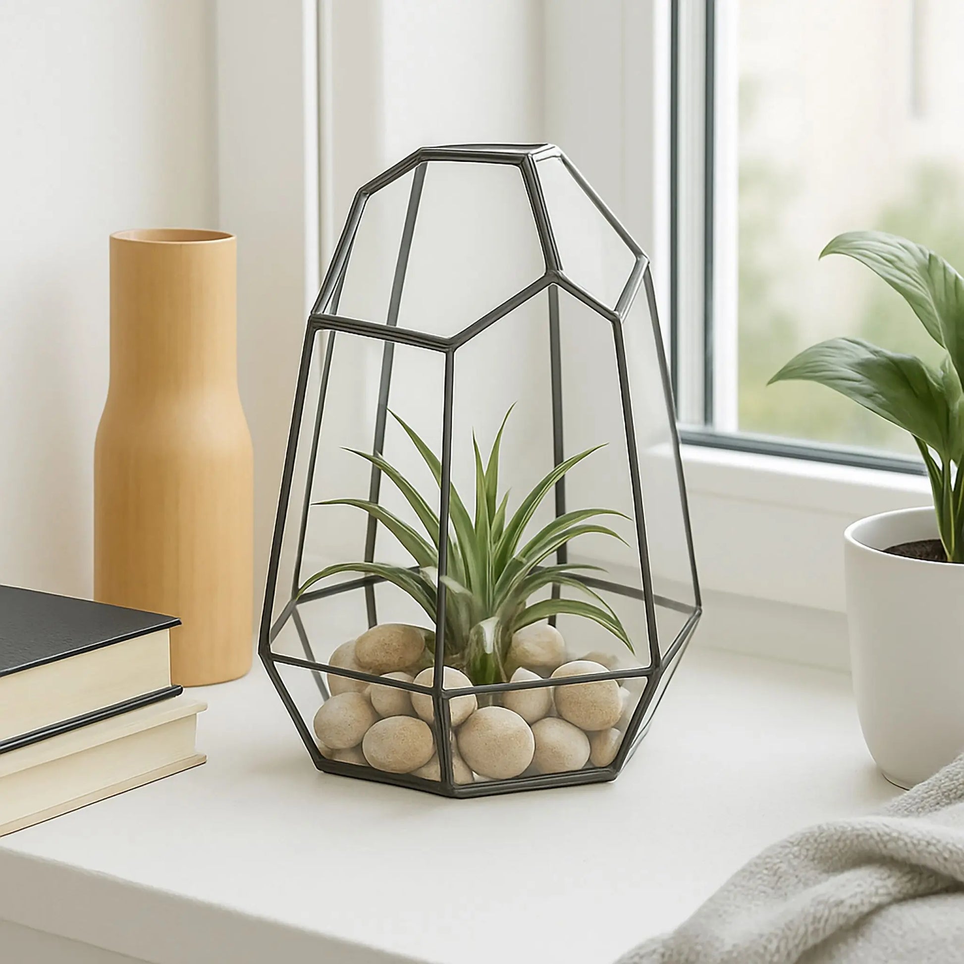 Geometrisches Pflanzenterrarium Glas Schwarz-Transparent von Relaxdays