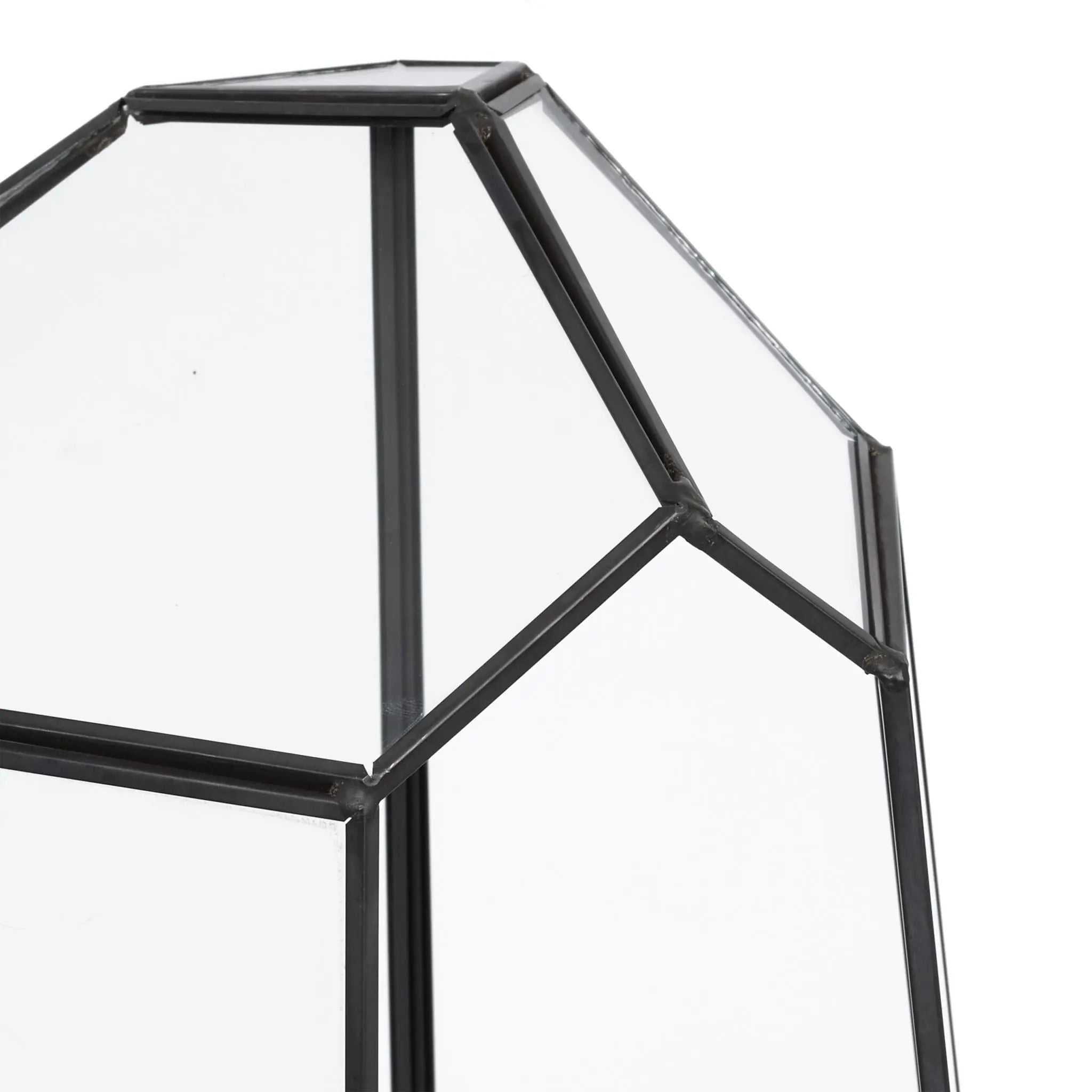 Geometrisches Pflanzenterrarium Glas Schwarz-Transparent von Relaxdays