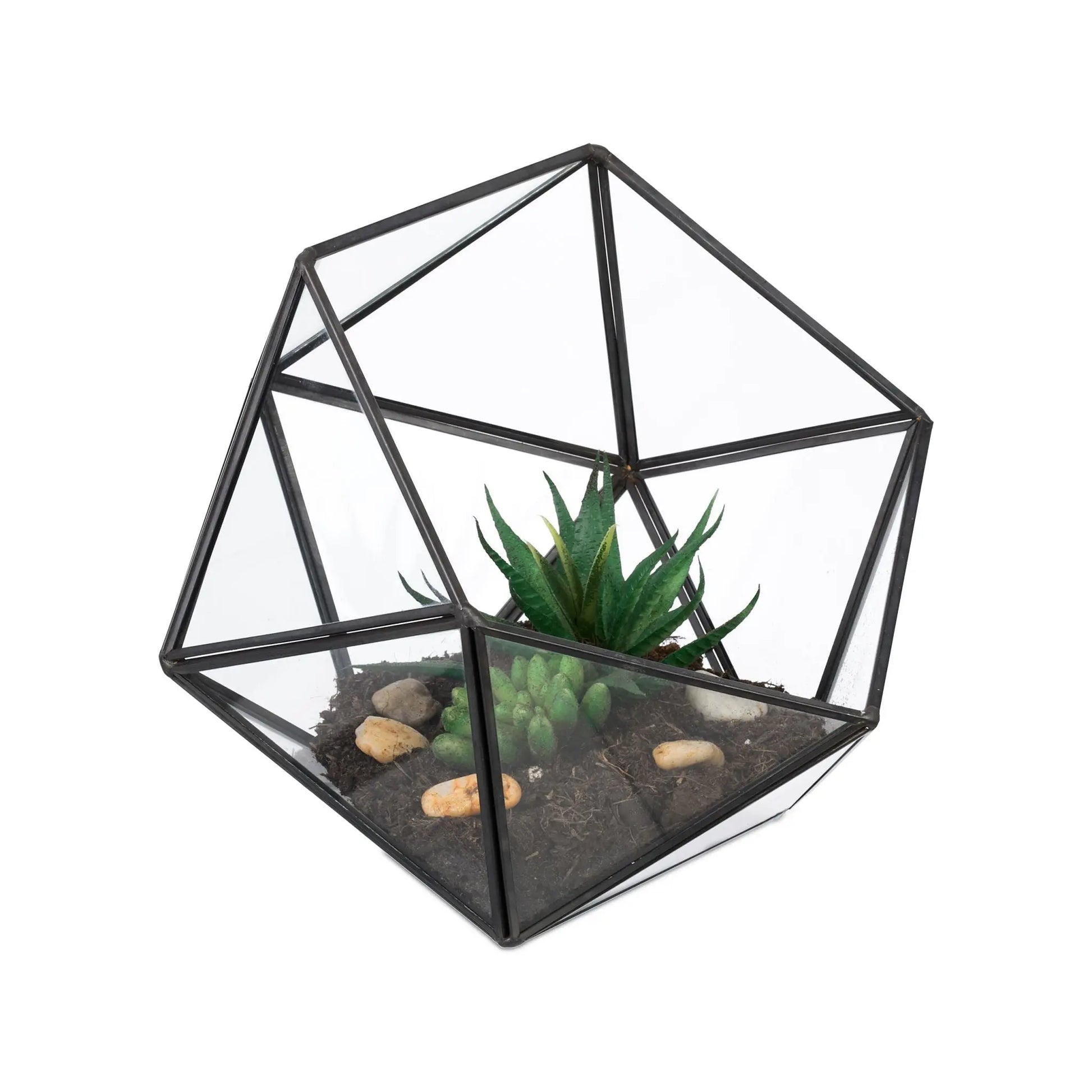 Geometrisches Pflanzenterrarium Glas Schwarz-Transparent von Relaxdays