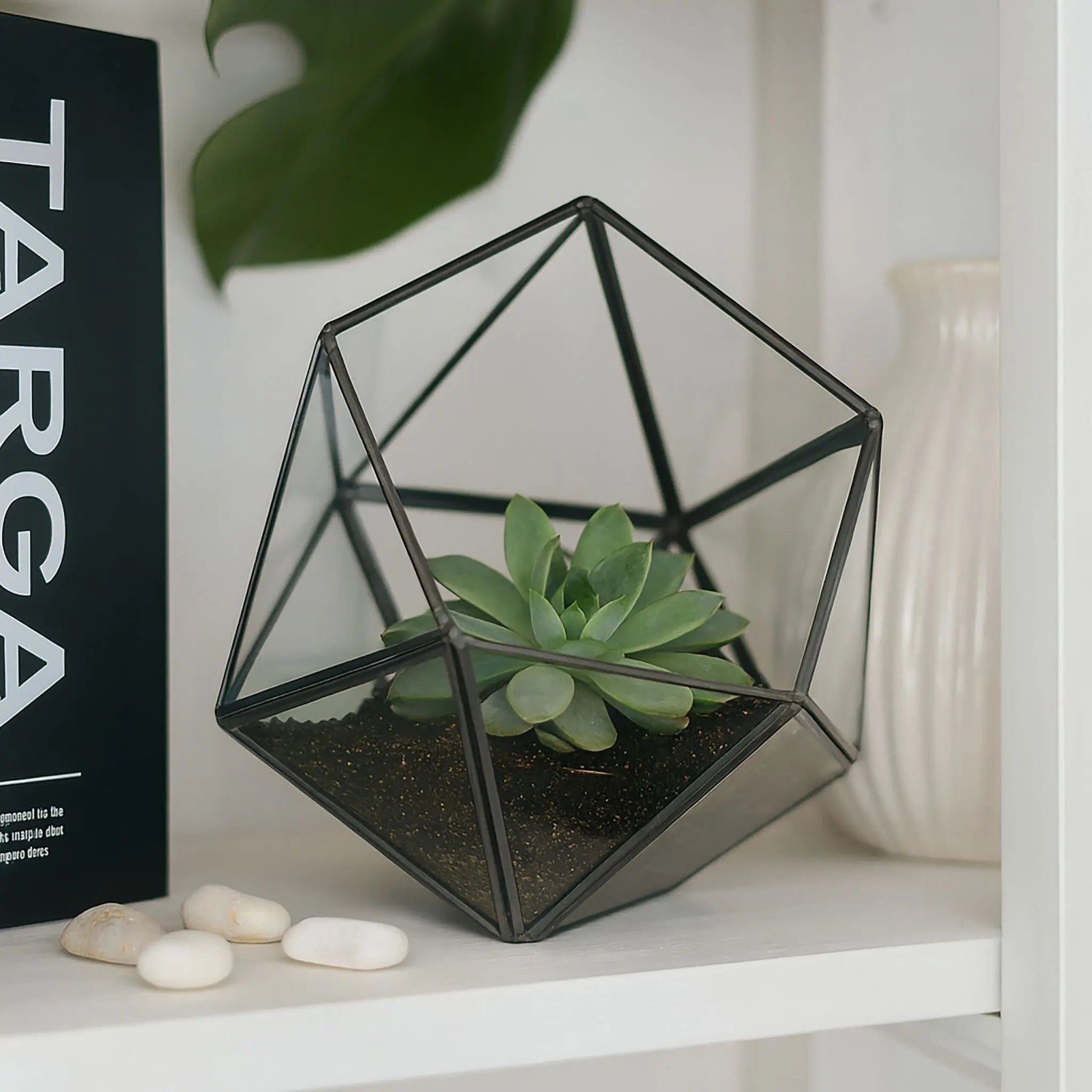 Geometrisches Pflanzenterrarium Glas Schwarz-Transparent von Relaxdays