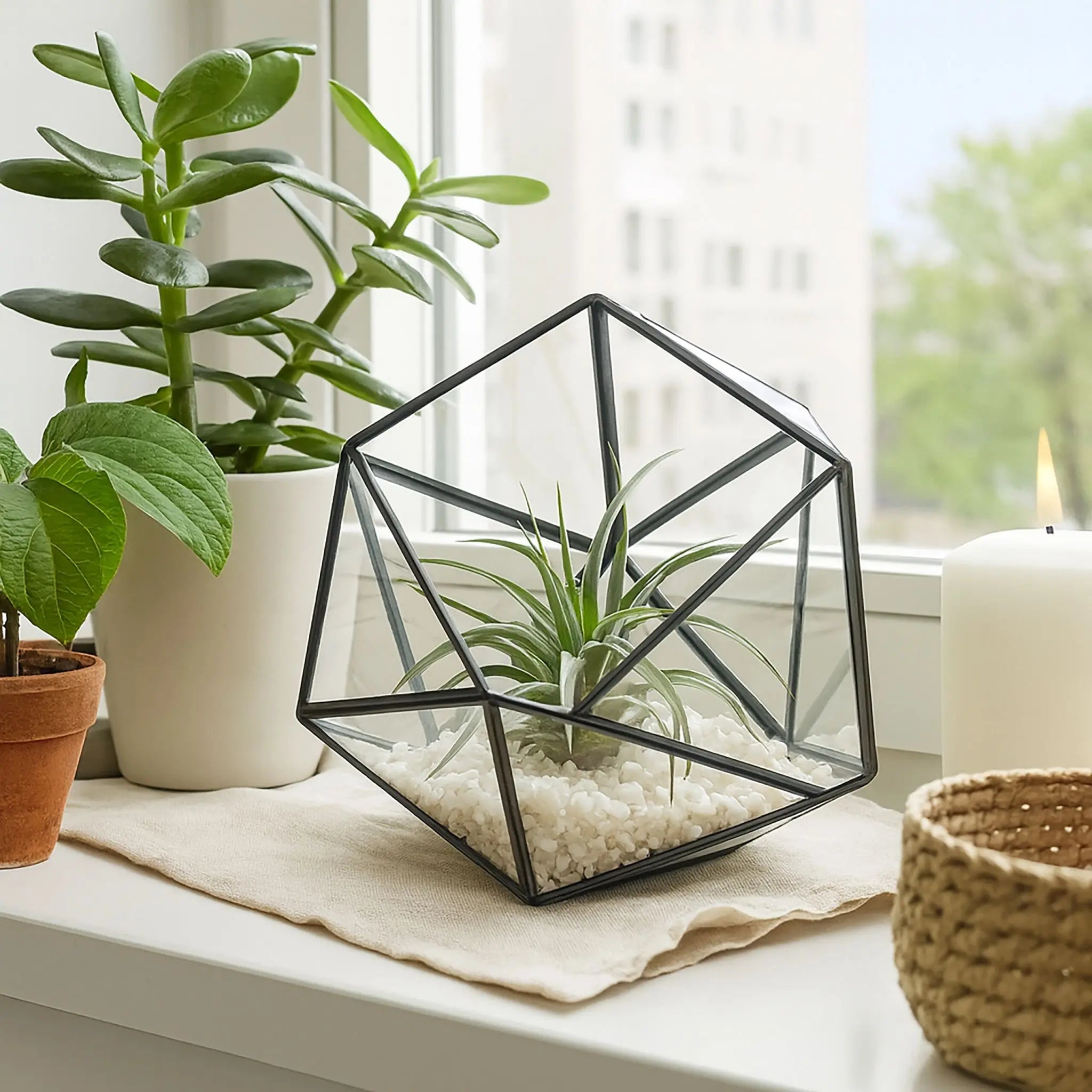 Geometrisches Pflanzenterrarium Glas Schwarz-Transparent von Relaxdays