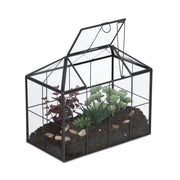 Modernes Pflanzenterrarium Glas Hausform Schwarz-Transparent