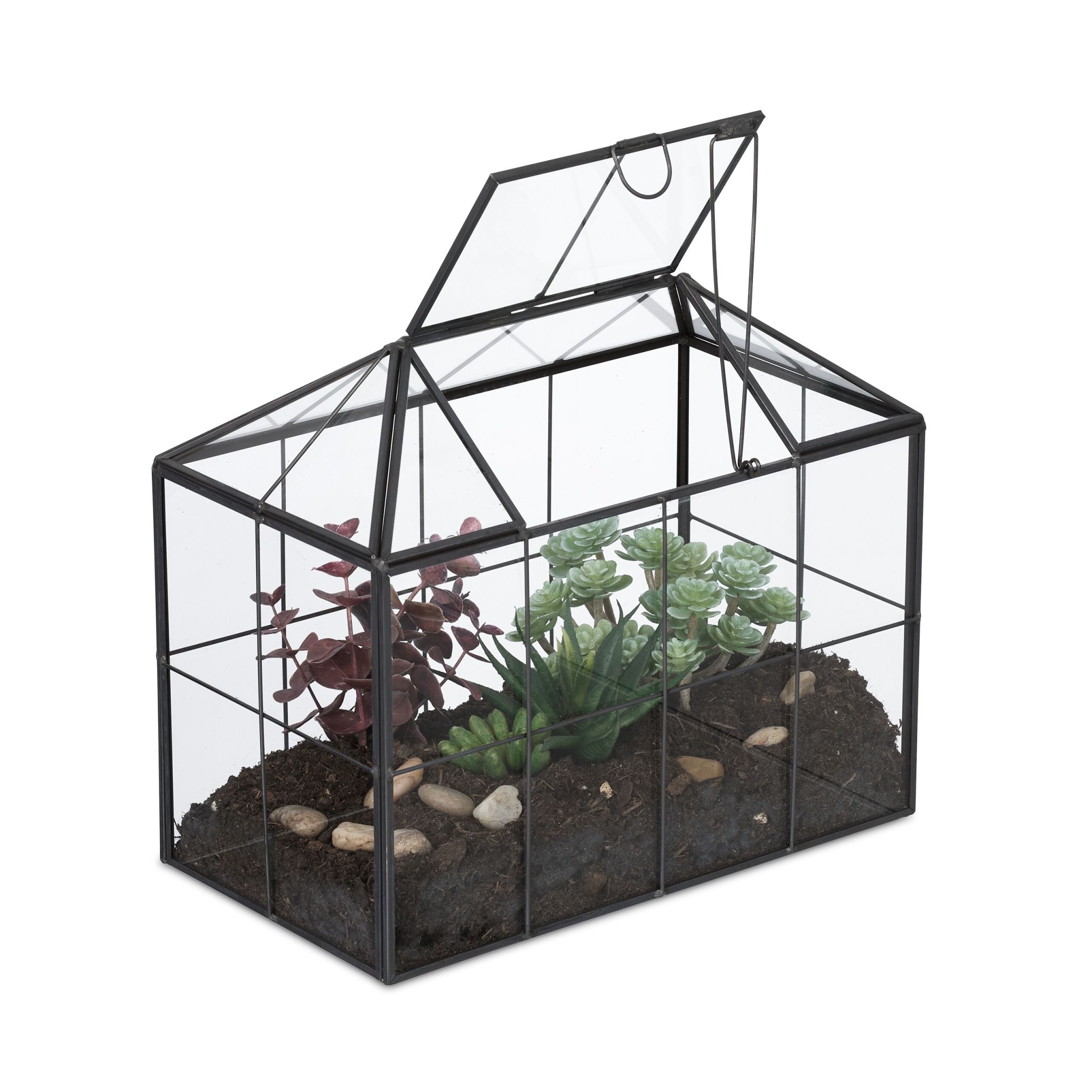 Modernes Pflanzenterrarium Glas Hausform Schwarz-Transparent