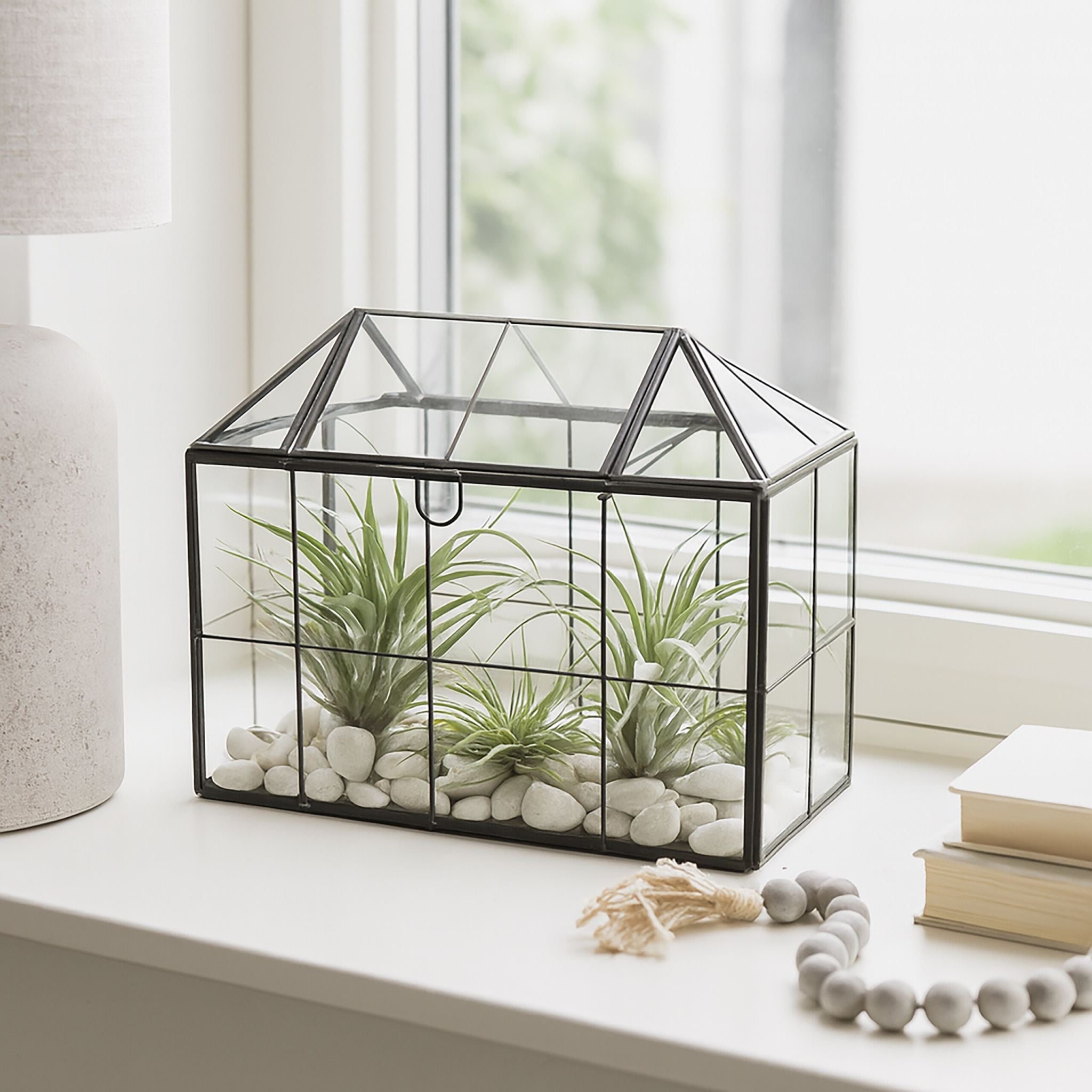 Modernes Pflanzenterrarium Glas Hausform Schwarz-Transparent