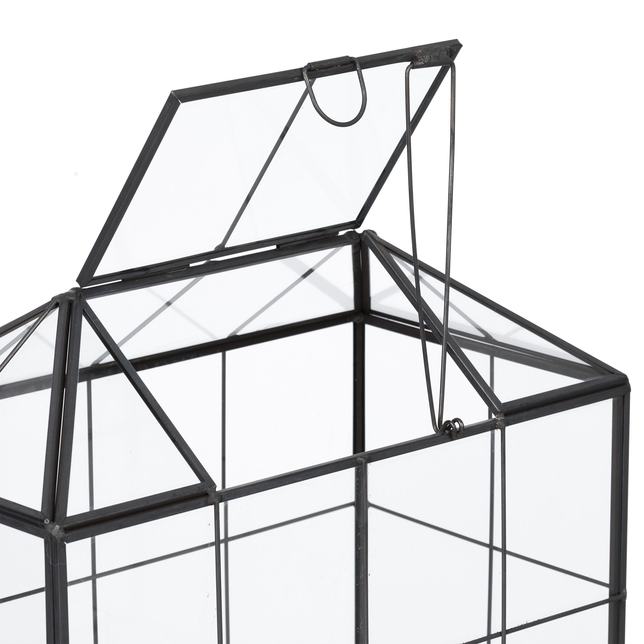 Modernes Pflanzenterrarium Glas Hausform Schwarz-Transparent