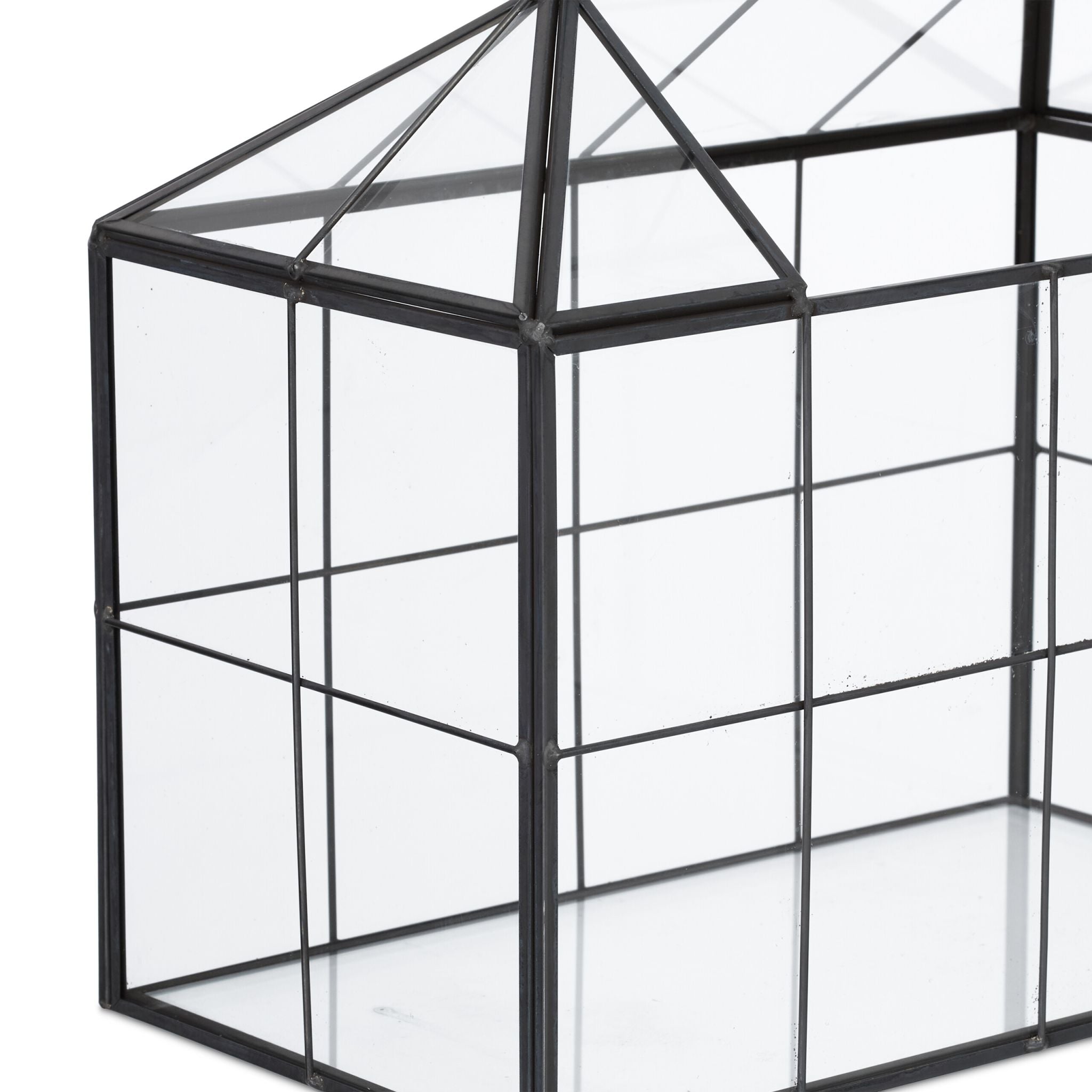 Modernes Pflanzenterrarium Glas Hausform Schwarz-Transparent