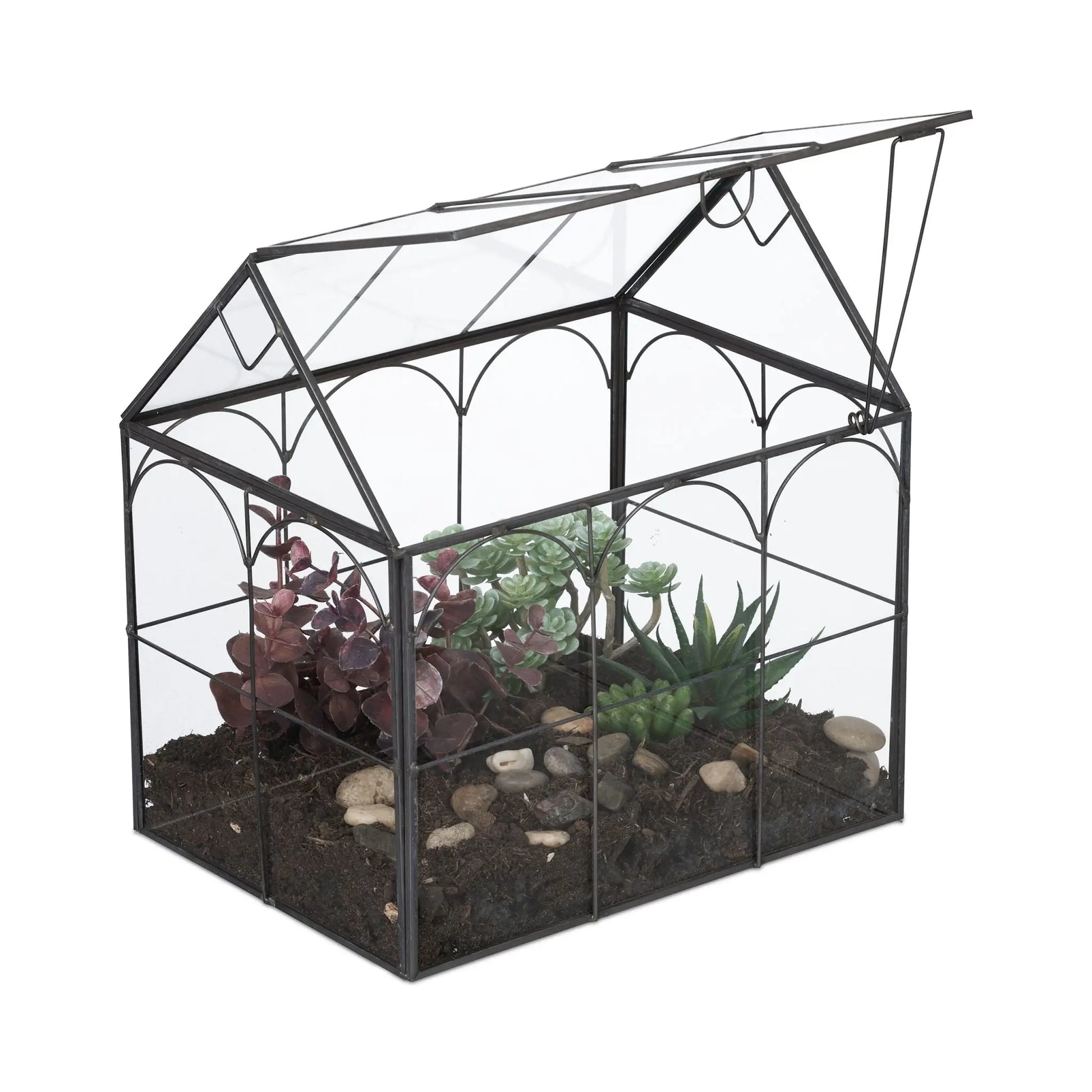 Pflanzenterrarium Glas Hausform Schwarz-Transparent von Relaxdays