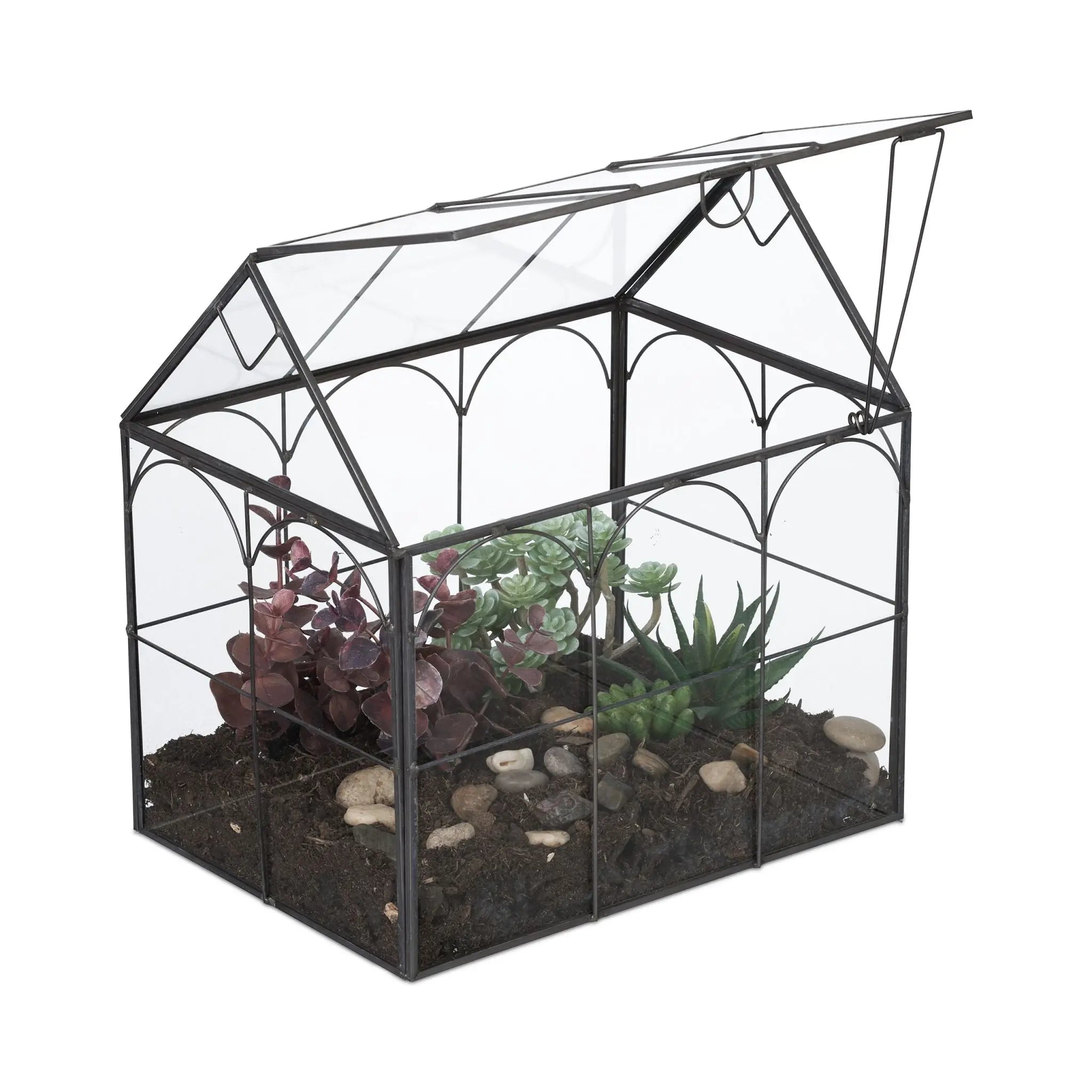 Pflanzenterrarium Glas Hausform Schwarz-Transparent von Relaxdays