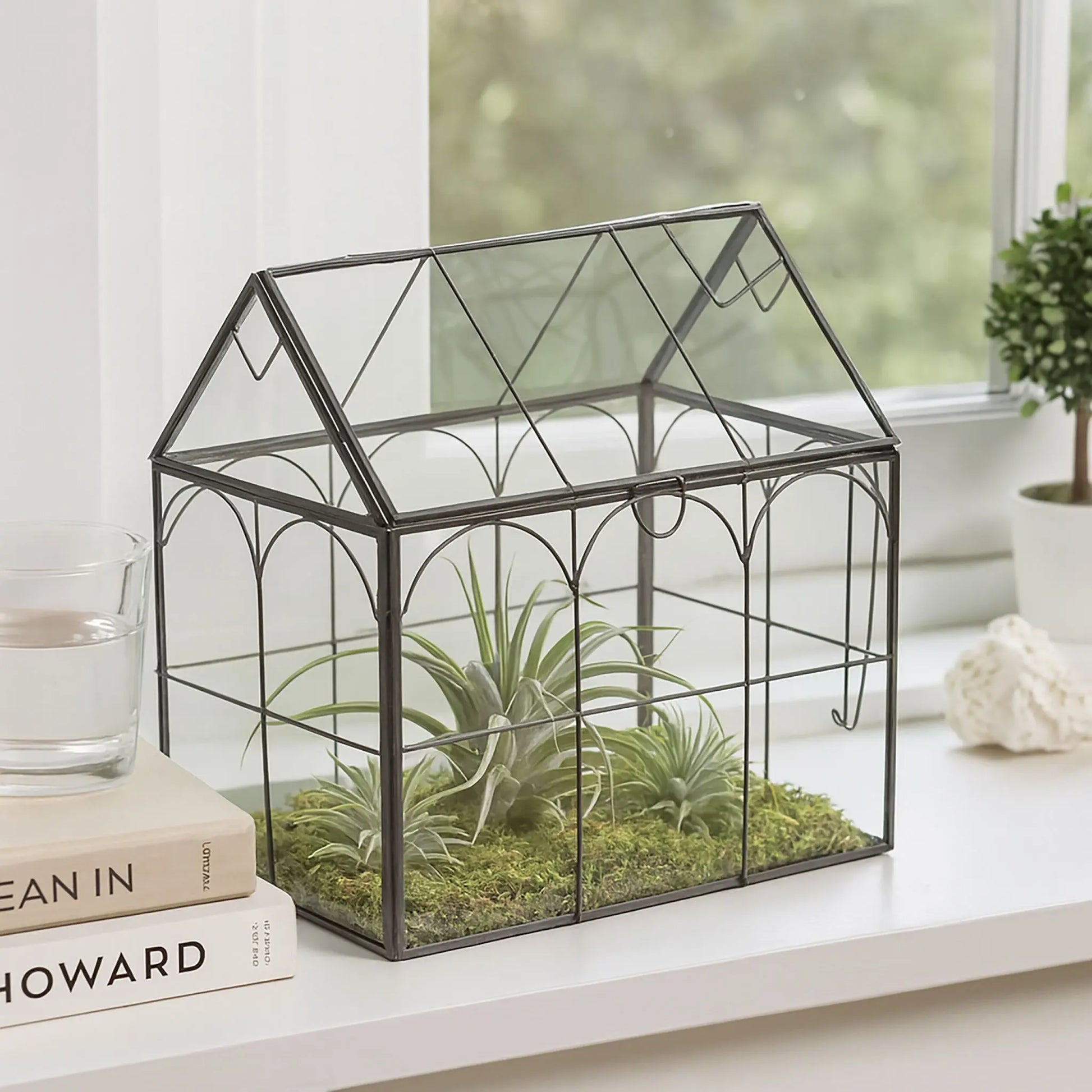 Pflanzenterrarium Glas Hausform Schwarz-Transparent von Relaxdays