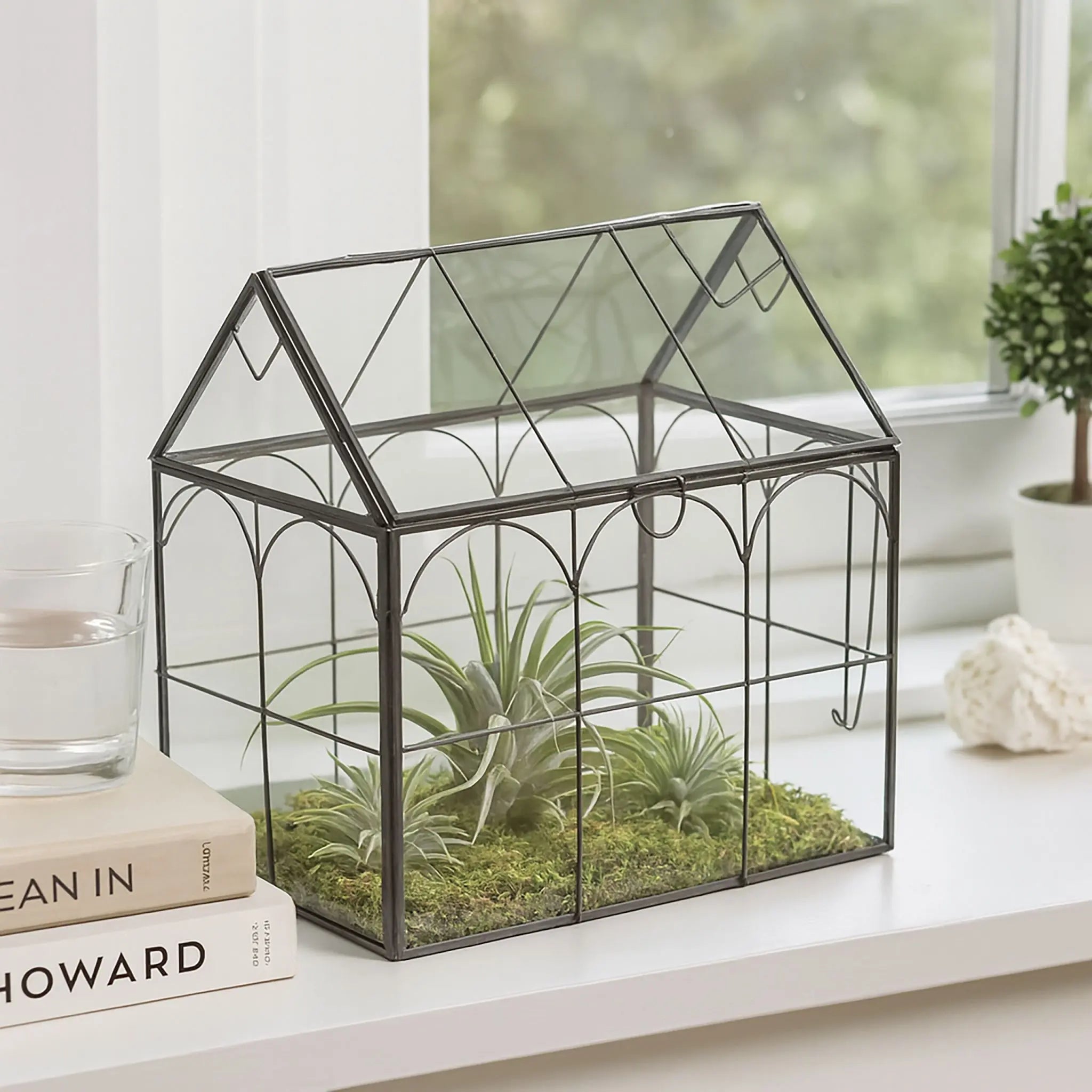 Pflanzenterrarium Glas Hausform Schwarz-Transparent von Relaxdays