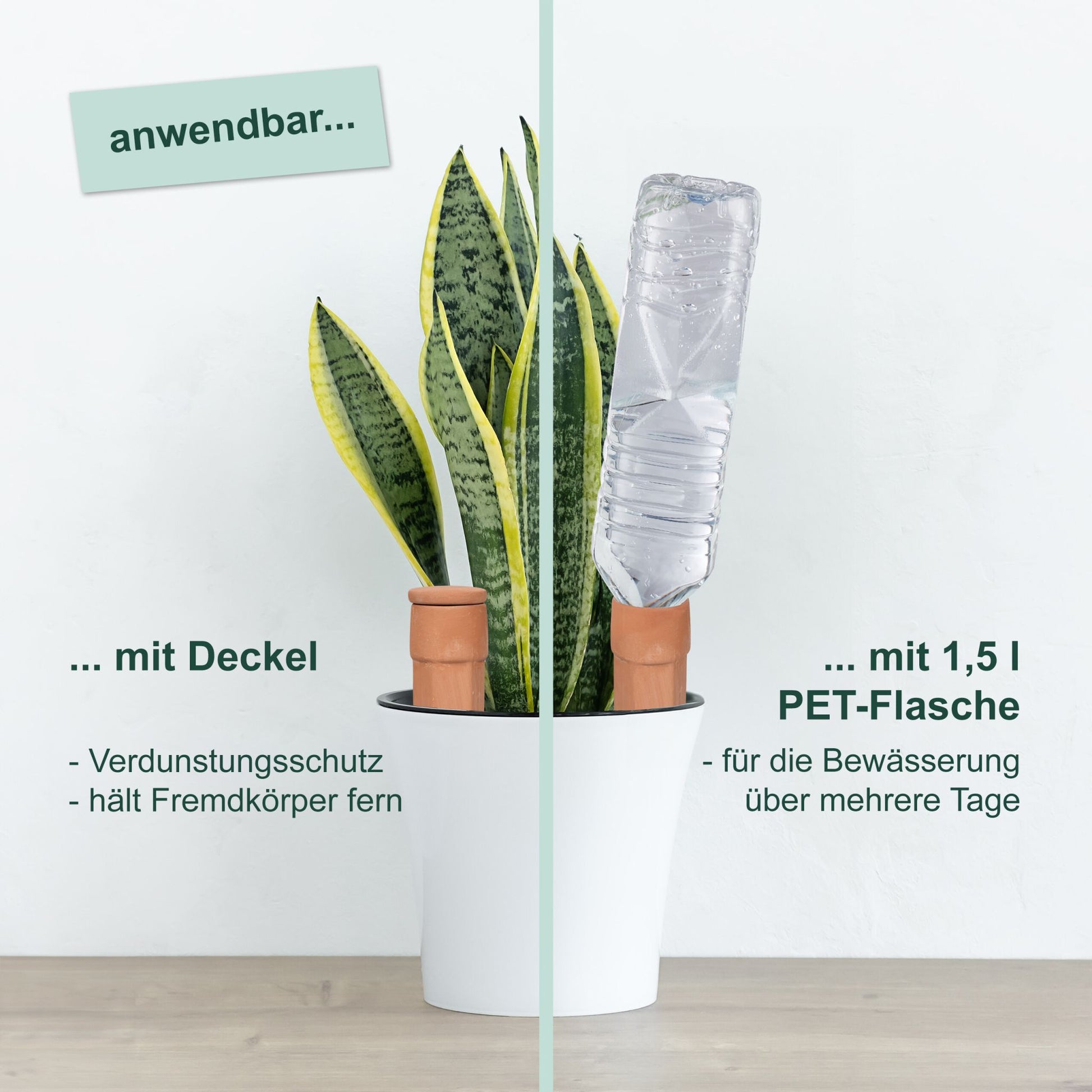 Tonkegel Bewässerung 4er Pack Hellbraun von Relaxdays