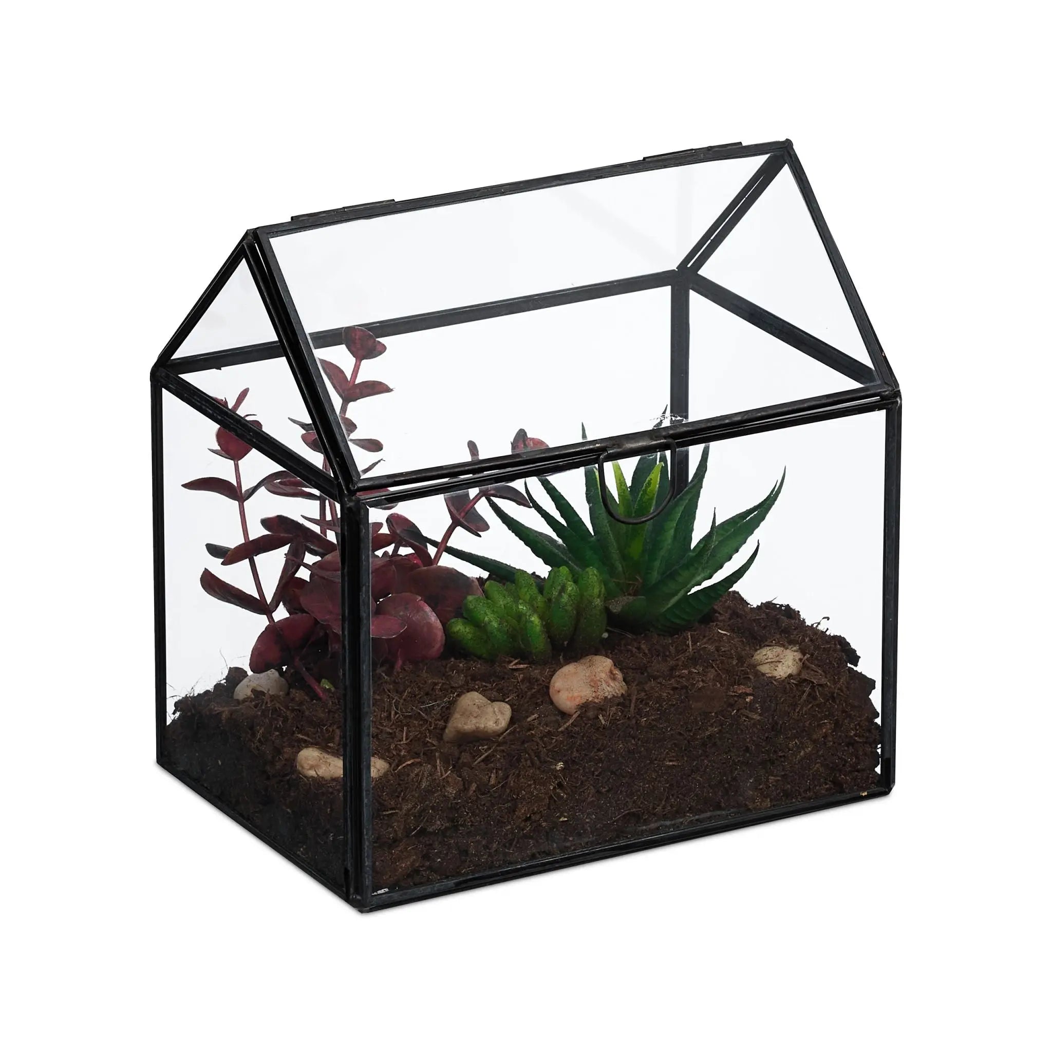 Pflanzenterrarium Glas Hausform Schwarz-Transparent von Relaxdays