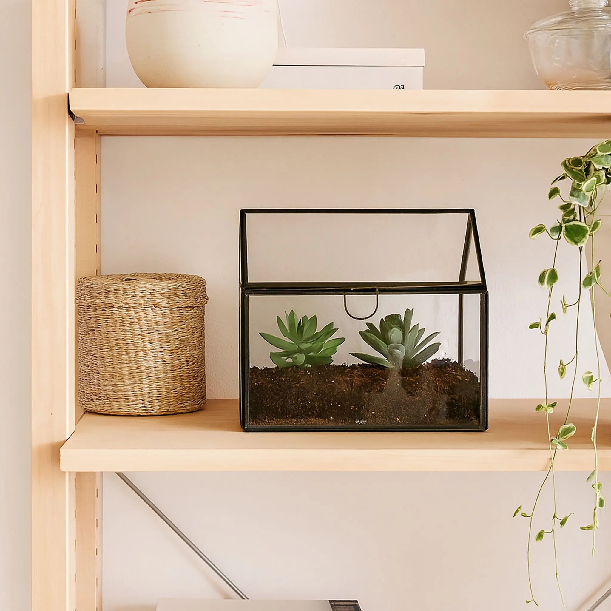 Pflanzenterrarium Glas Hausform Schwarz-Transparent von Relaxdays