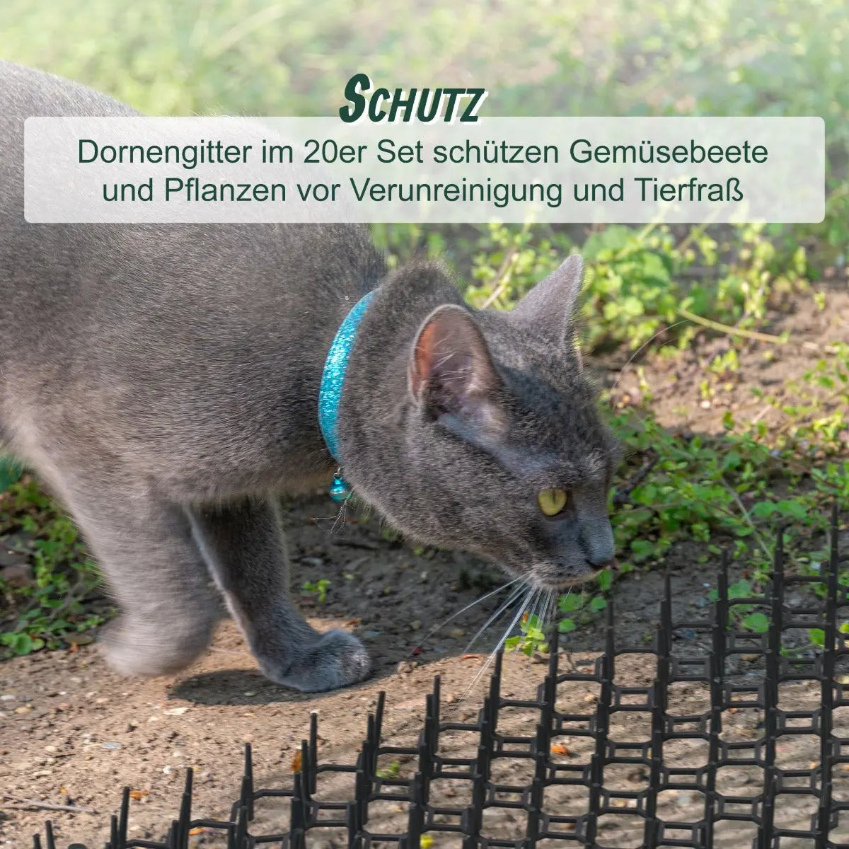 Dornengitter 20er Set Marder- und Katzenabwehr Schutz für Beete Kunststoff Schwarz von guteszeug.ch