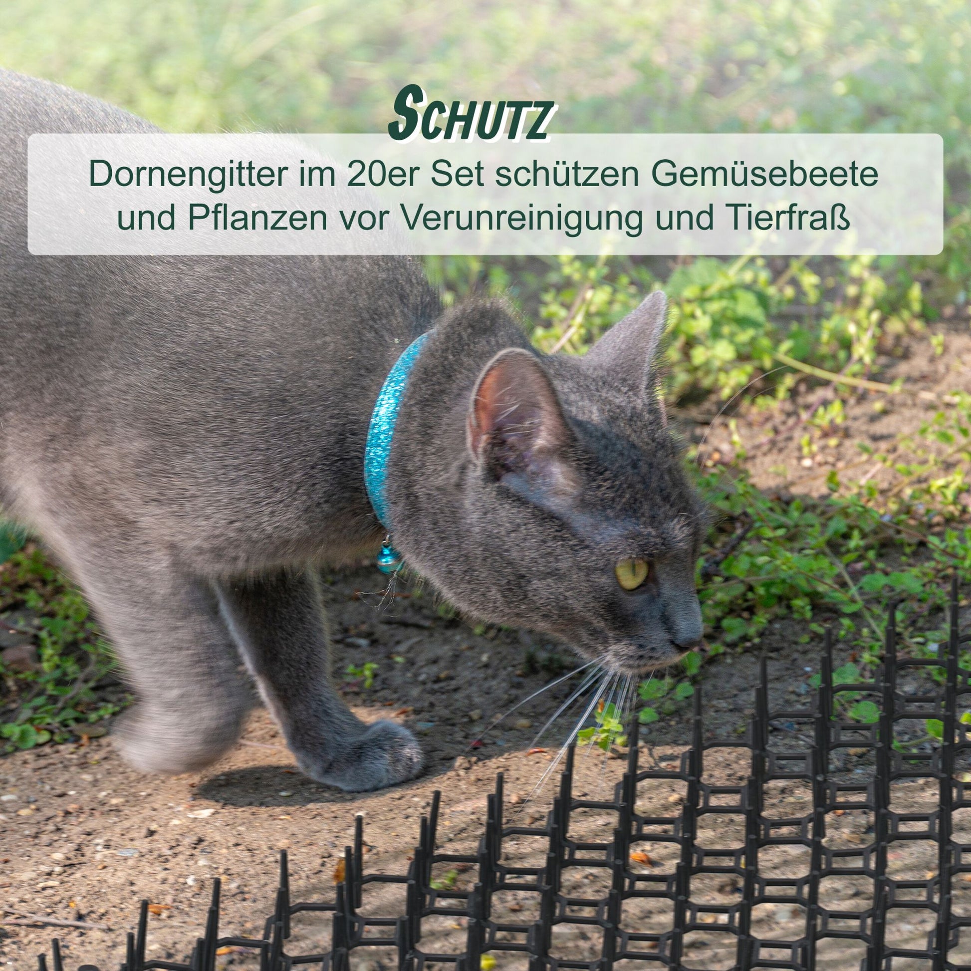 Dornengitter 6er-Set Schwarz von Relaxdays