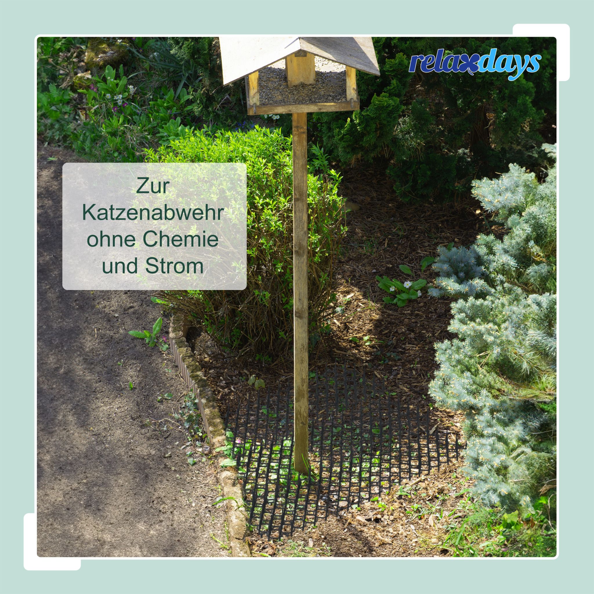 Dornengitter 6er-Set Schwarz von Relaxdays