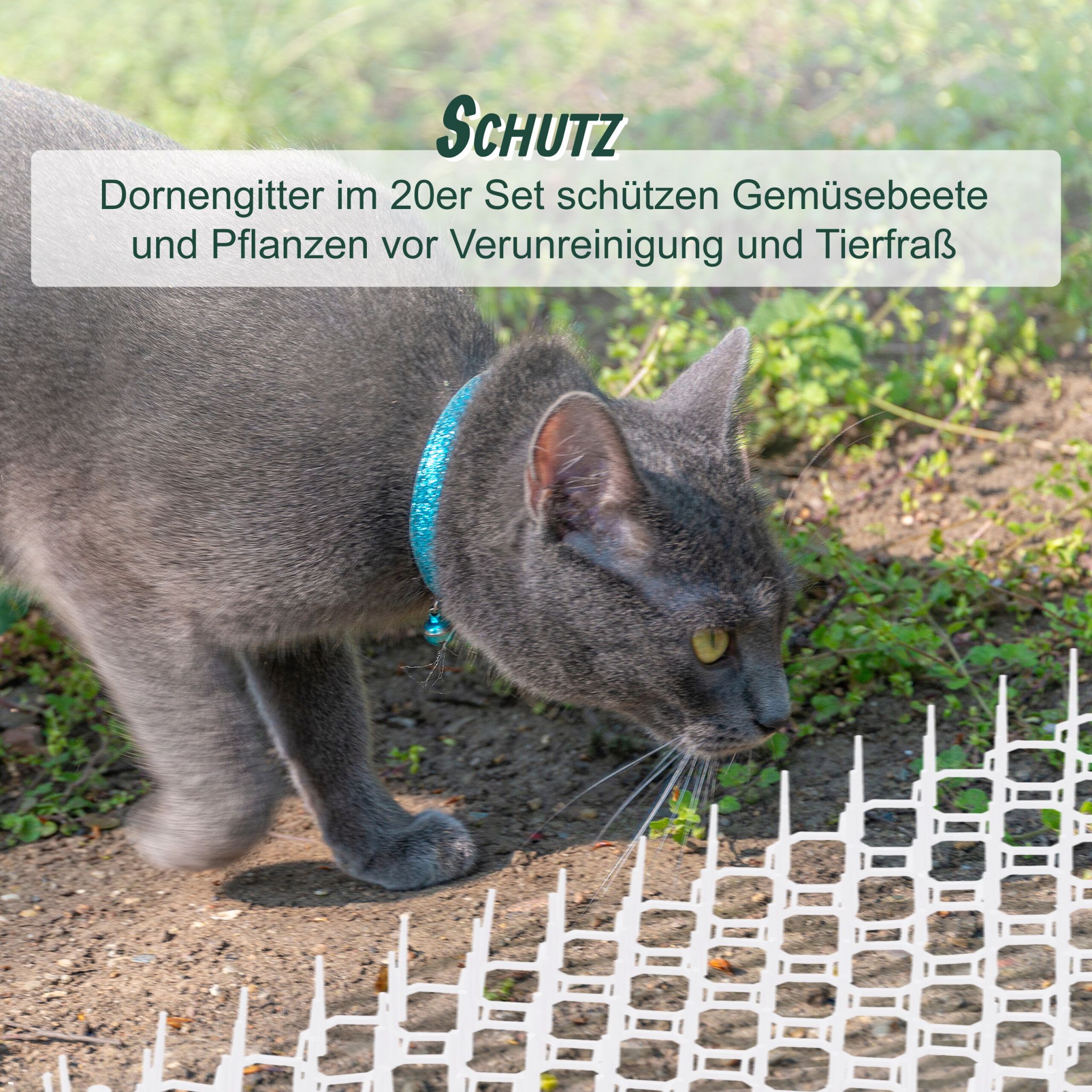 Dornengitter 12er-Set Weiss von Relaxdays