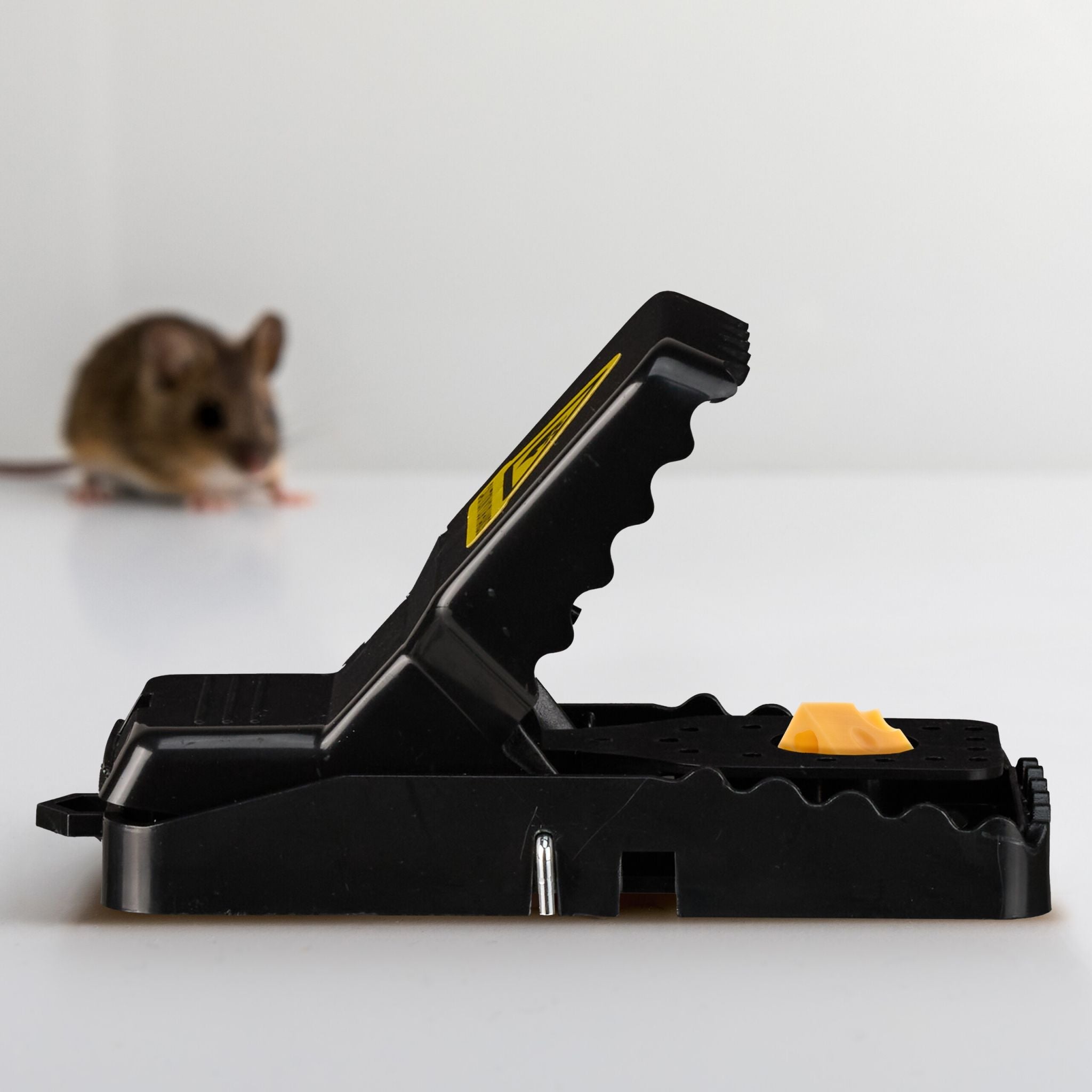 Wiederverwendbare Mausefalle 8er-Set Schwarz von Relaxdays