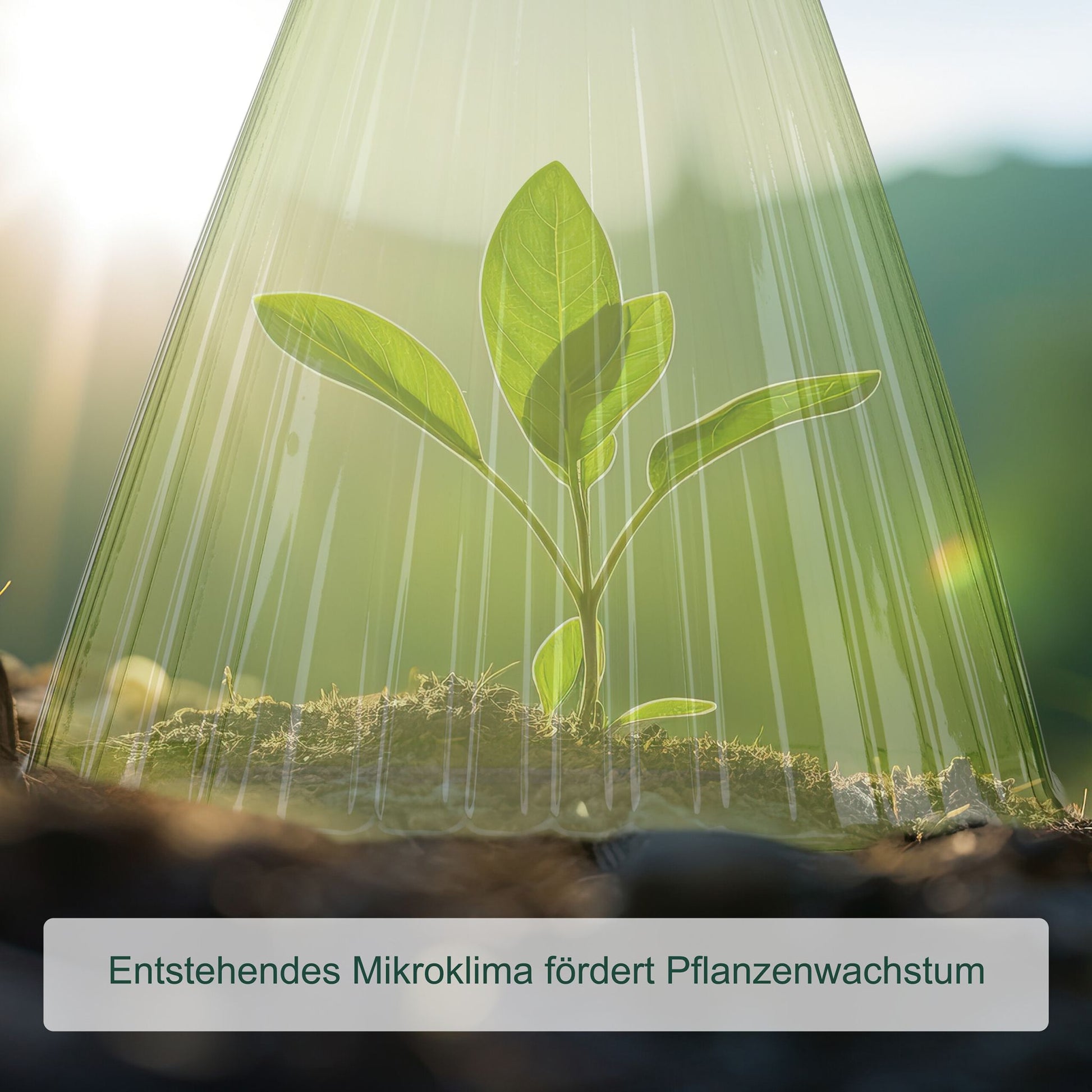 Pflanzenhut Schnecken Set Grün von Relaxdays