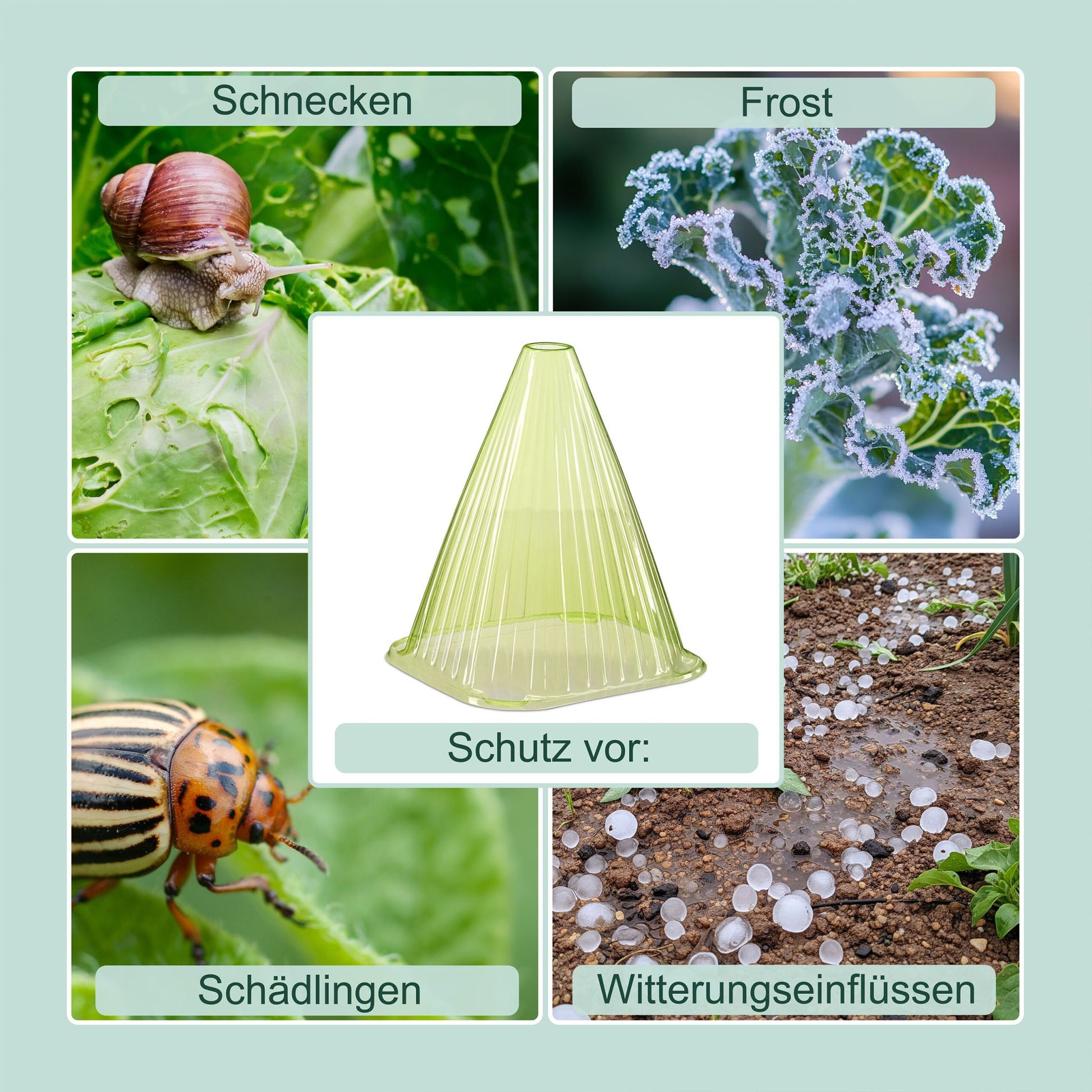 Pflanzenhut Schnecken Set Grün von Relaxdays