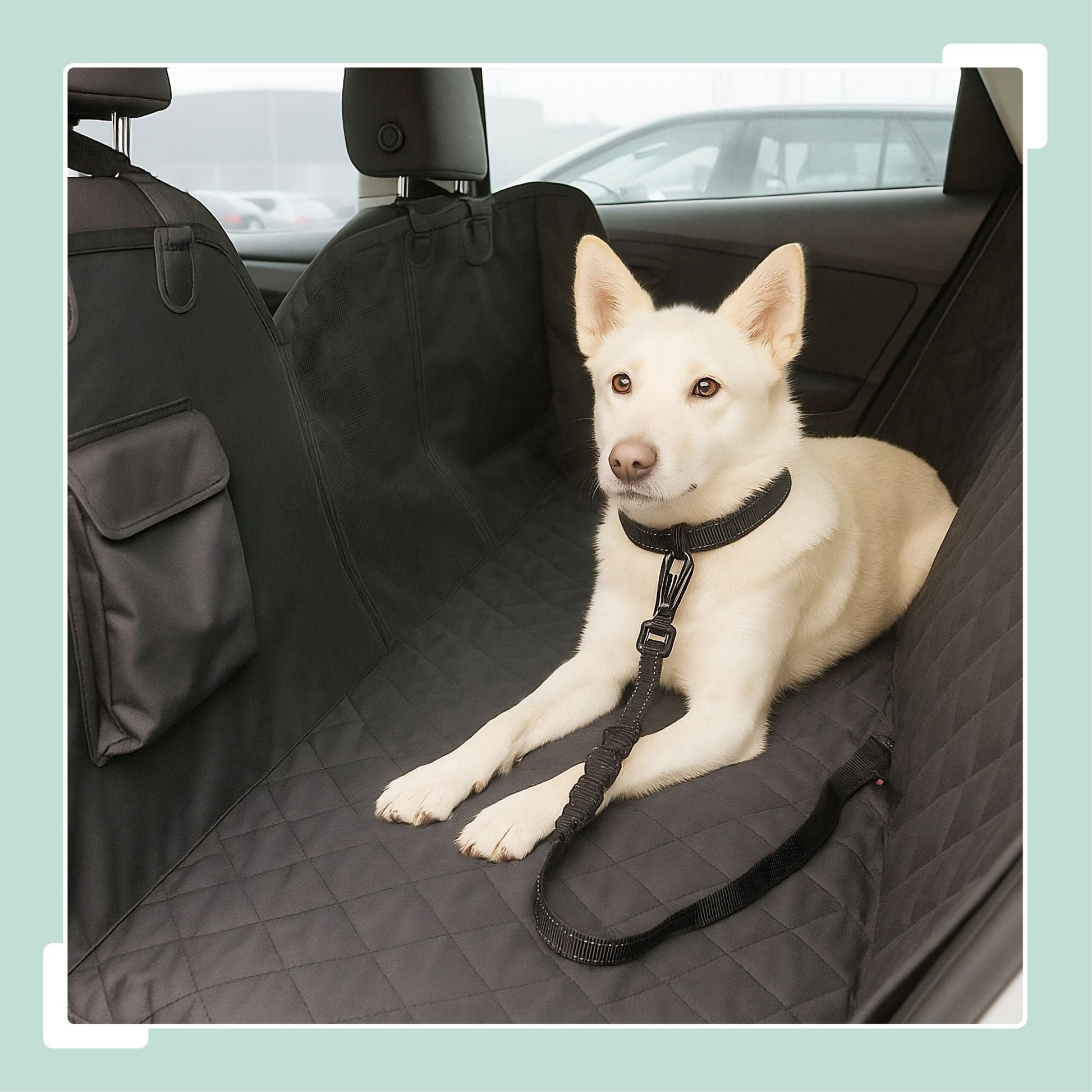Verstellbarer Hundegurt für Auto Schwarz von Relaxdays