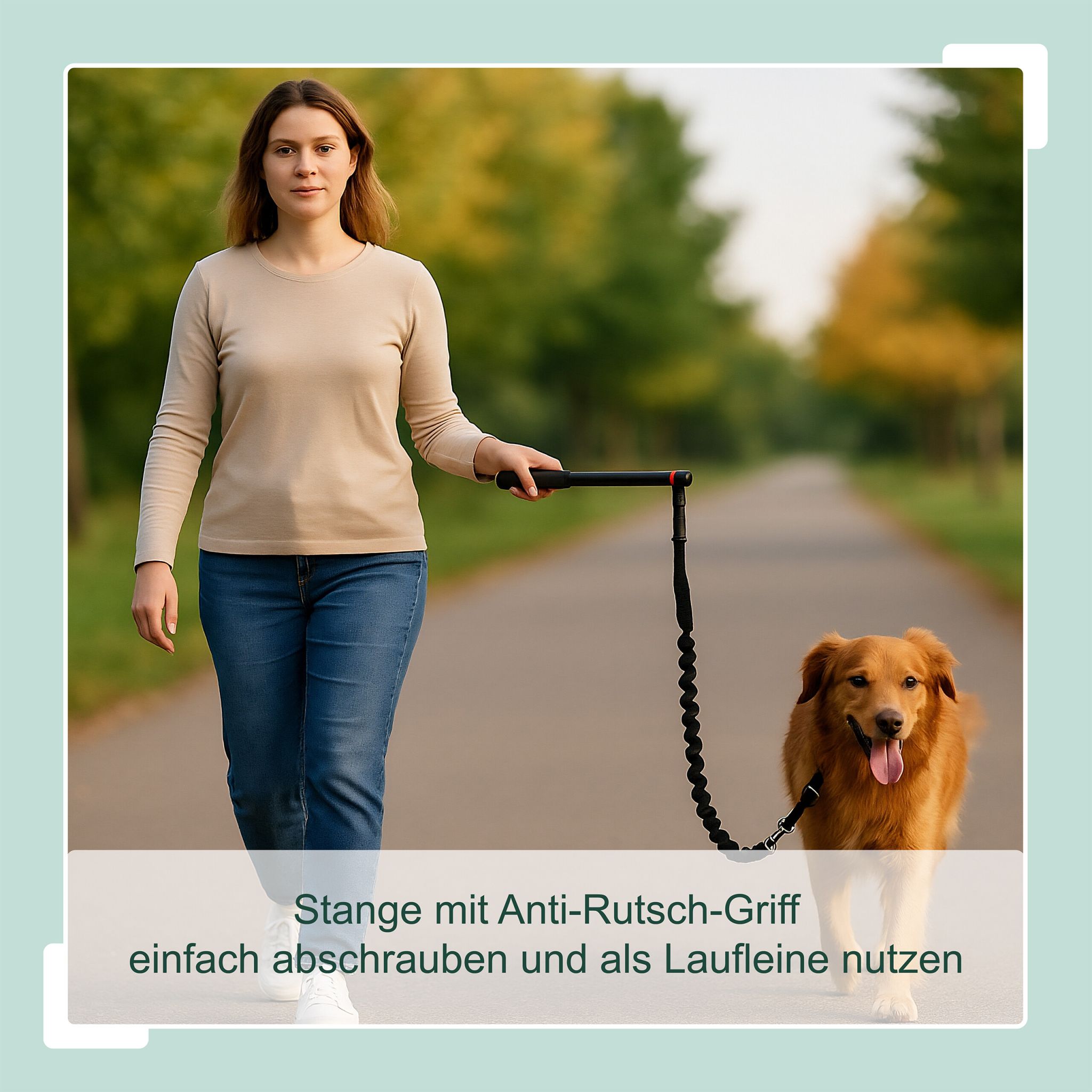 Fahrradleine für Hunde mit Abstandhalter Schwarz-Silber von Relaxdays