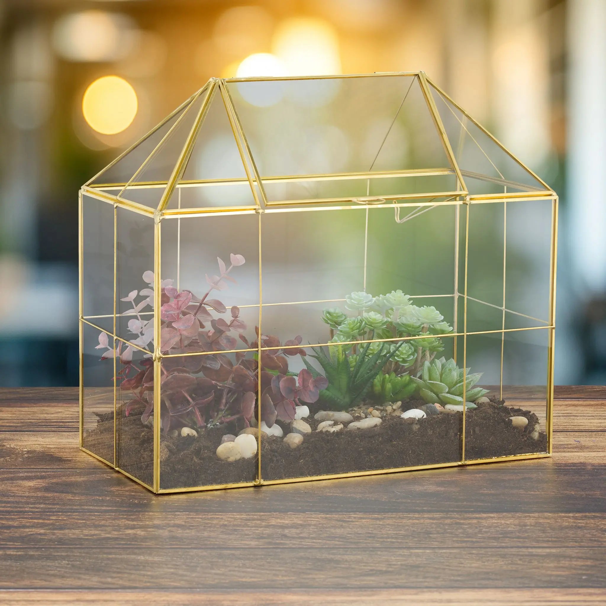 Grosses Pflanzenterrarium Glas Hausform Schwarz-Transparent von Relaxdays