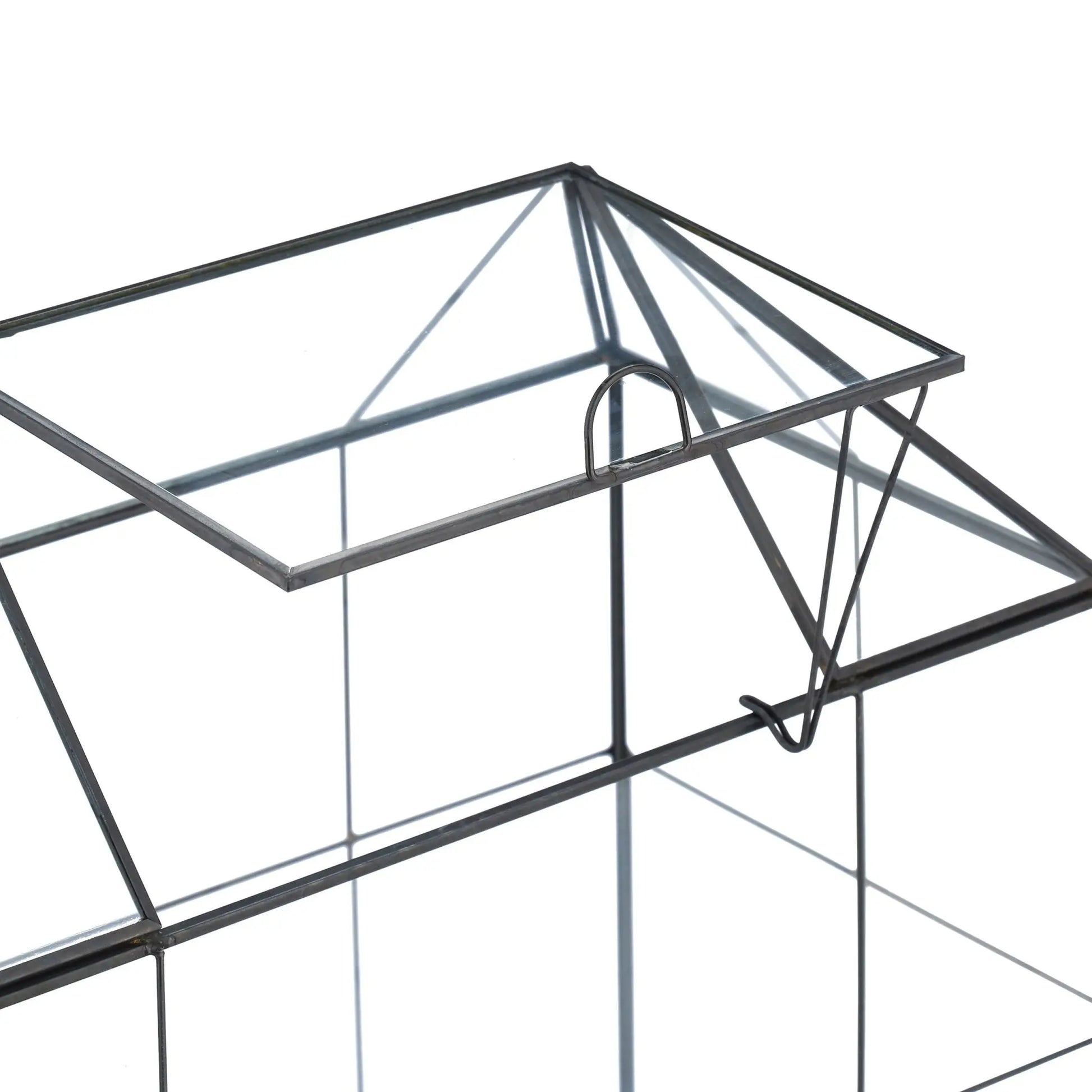 Grosses Pflanzenterrarium Glas Hausform Schwarz-Transparent von Relaxdays