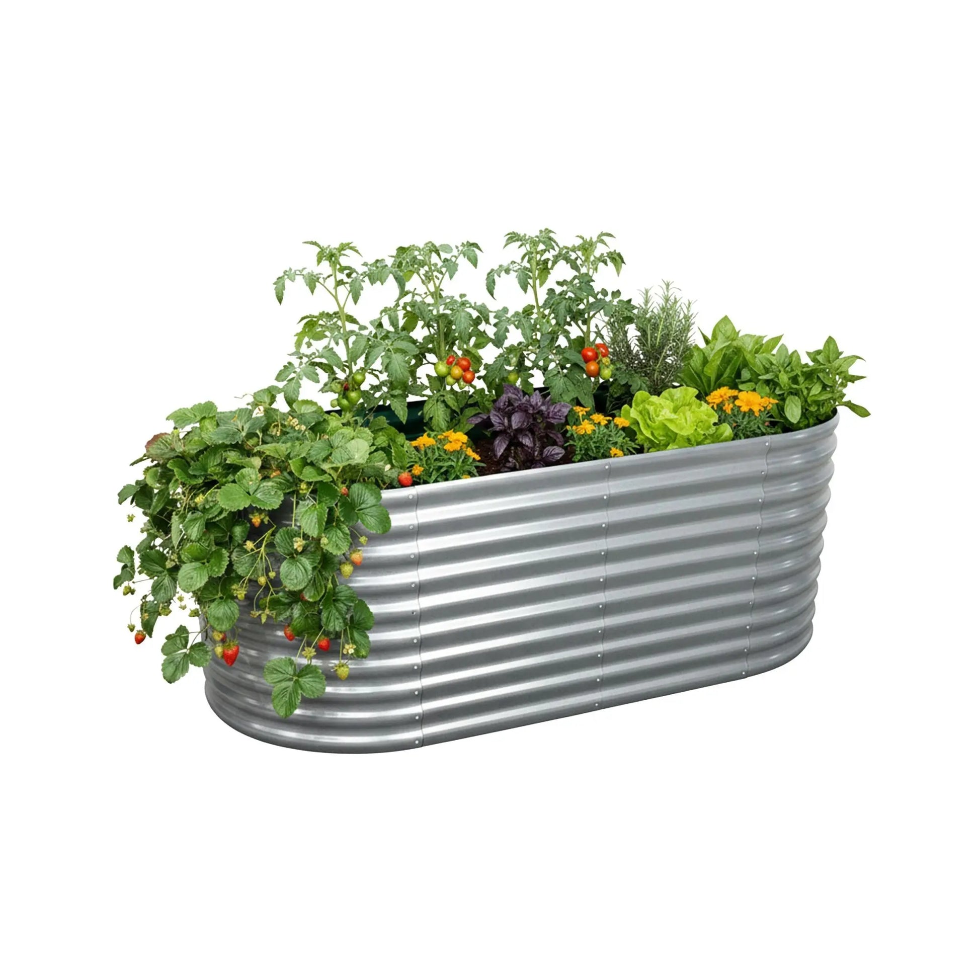 Hochbeet Metall halbrund Silber von Relaxdays