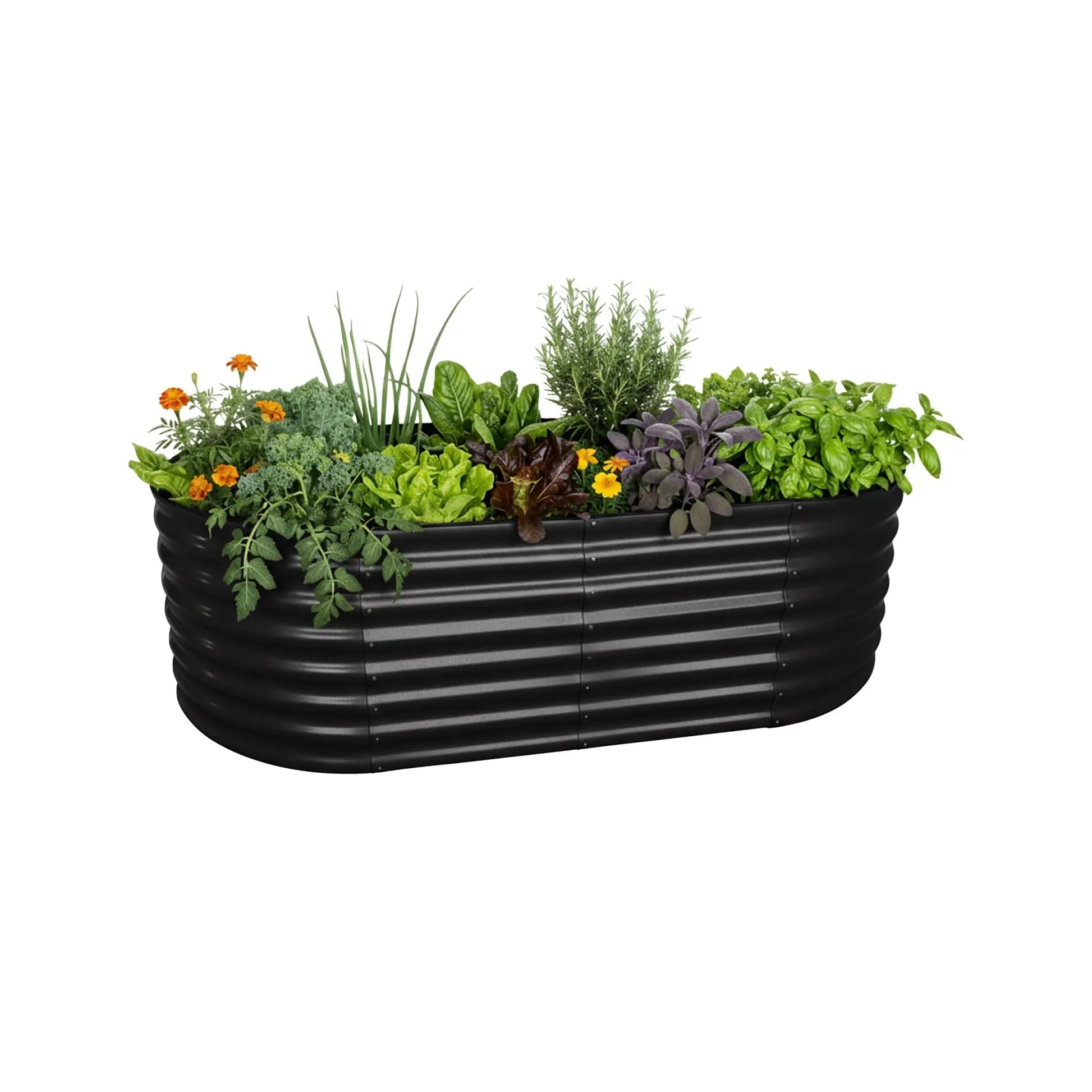 Hochbeet Metall halbrund Schwarz von Relaxdays