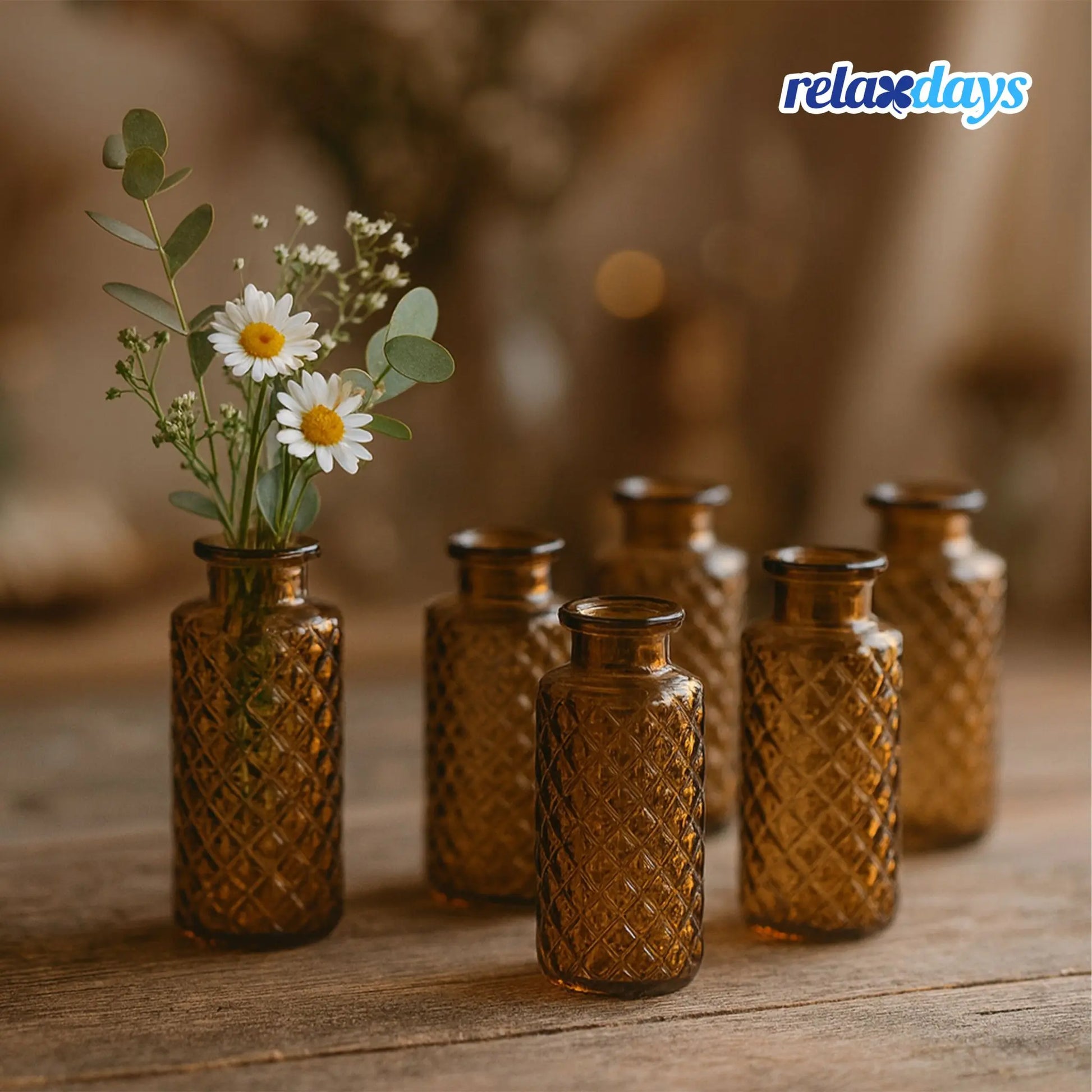 Deko Vasen 6er-Set Braun von Relaxdays