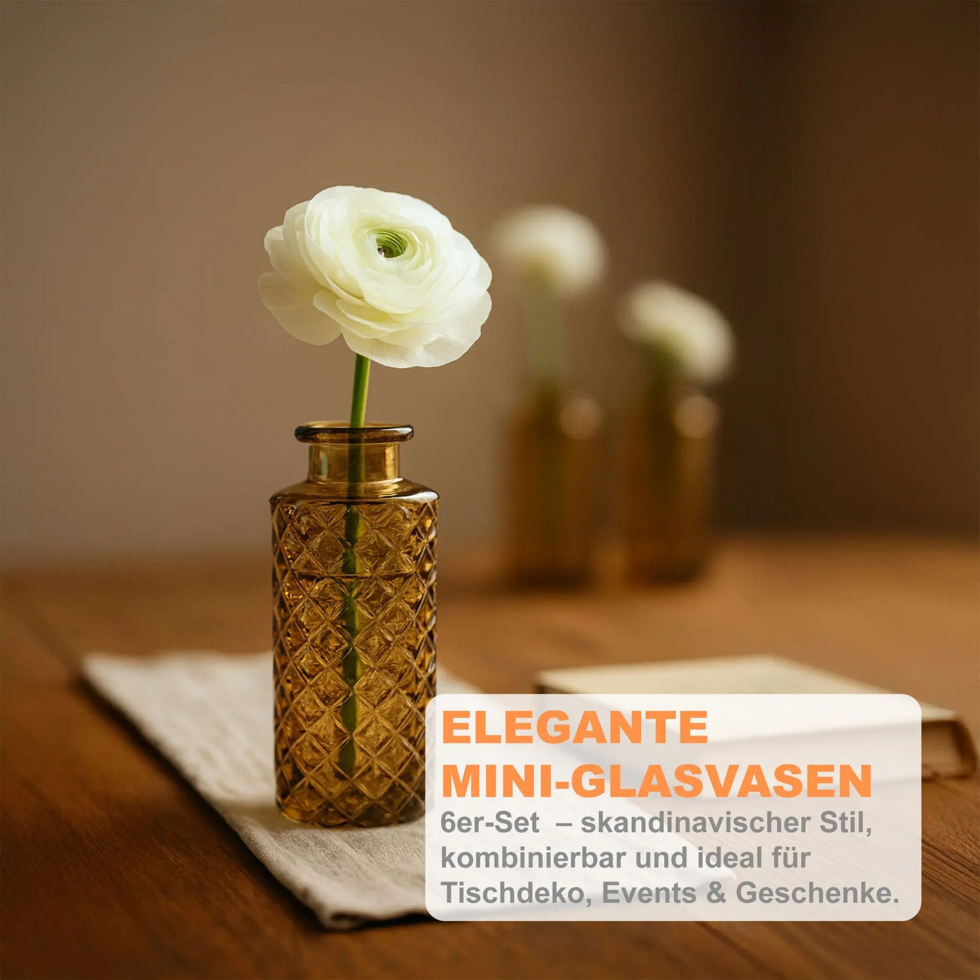 Deko Vasen 6er-Set Braun von Relaxdays