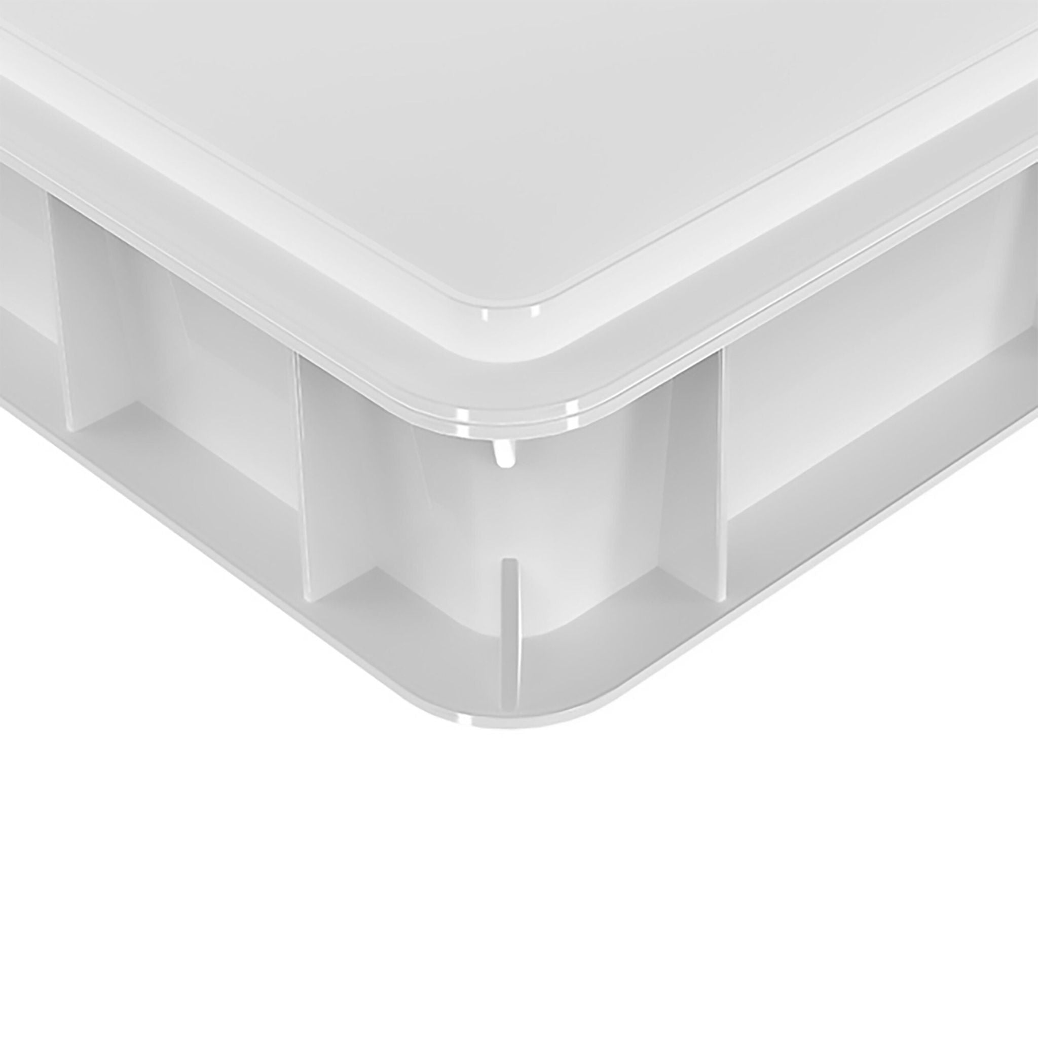Pizzaballenbox mit Deckel 2er-Set Weiss-Grün von Relaxdays