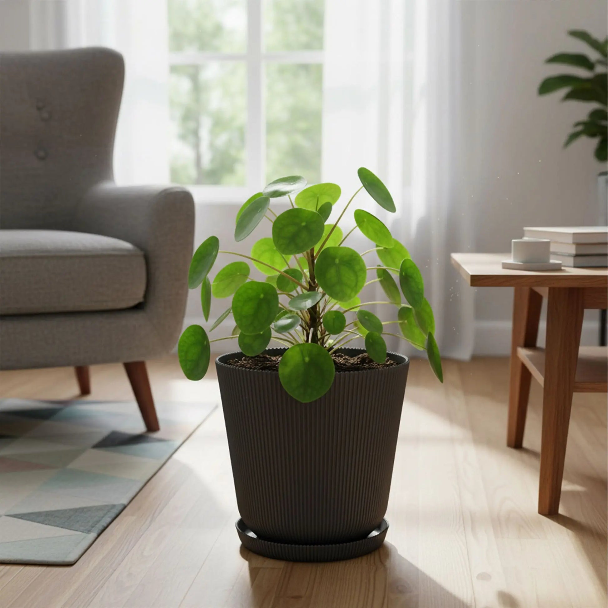 Blumentopf mit Untersetzer 2er-Set Anthrazit von Relaxdays