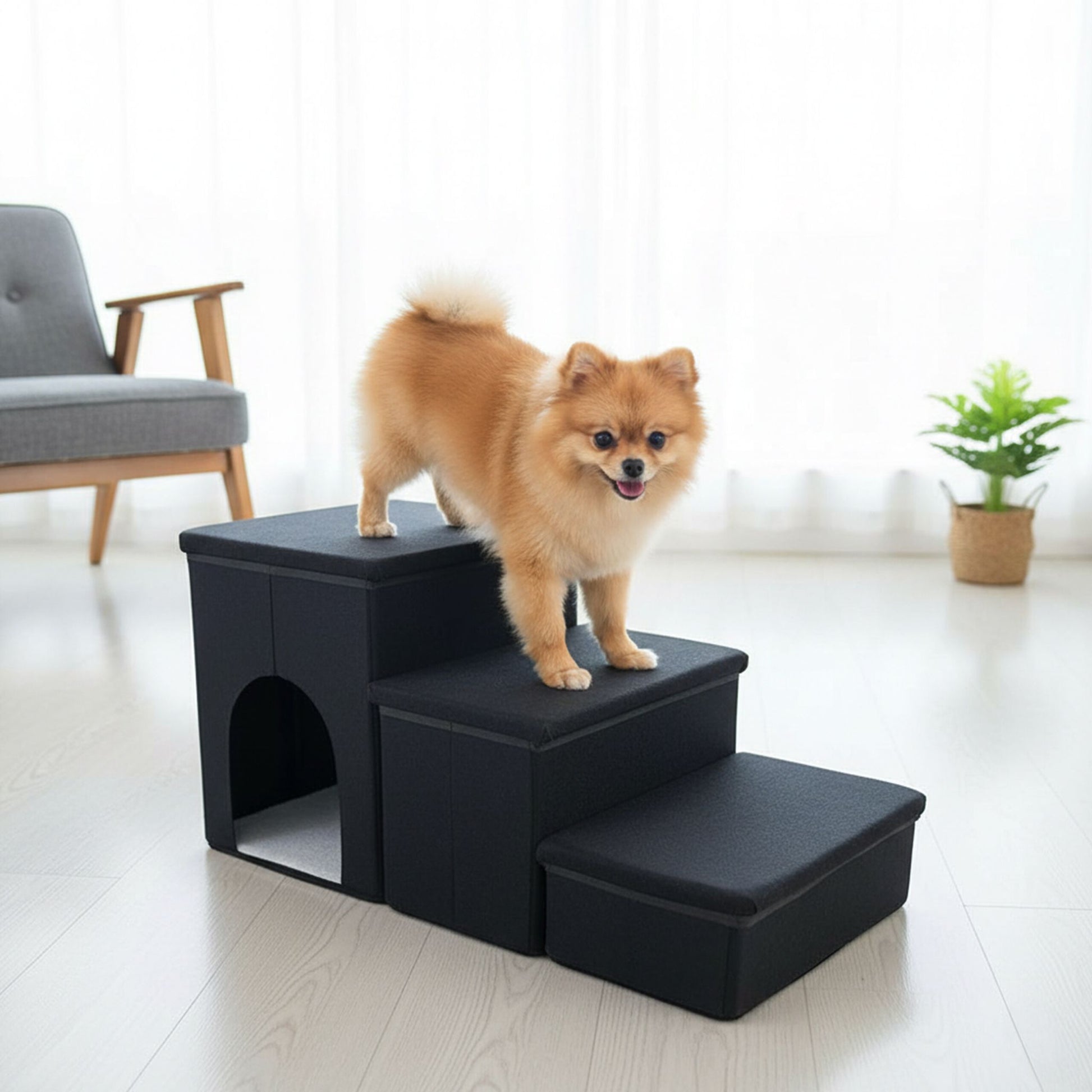 Faltbare Hundetreppe mit 3 Stufen Schwarz von Relaxdays