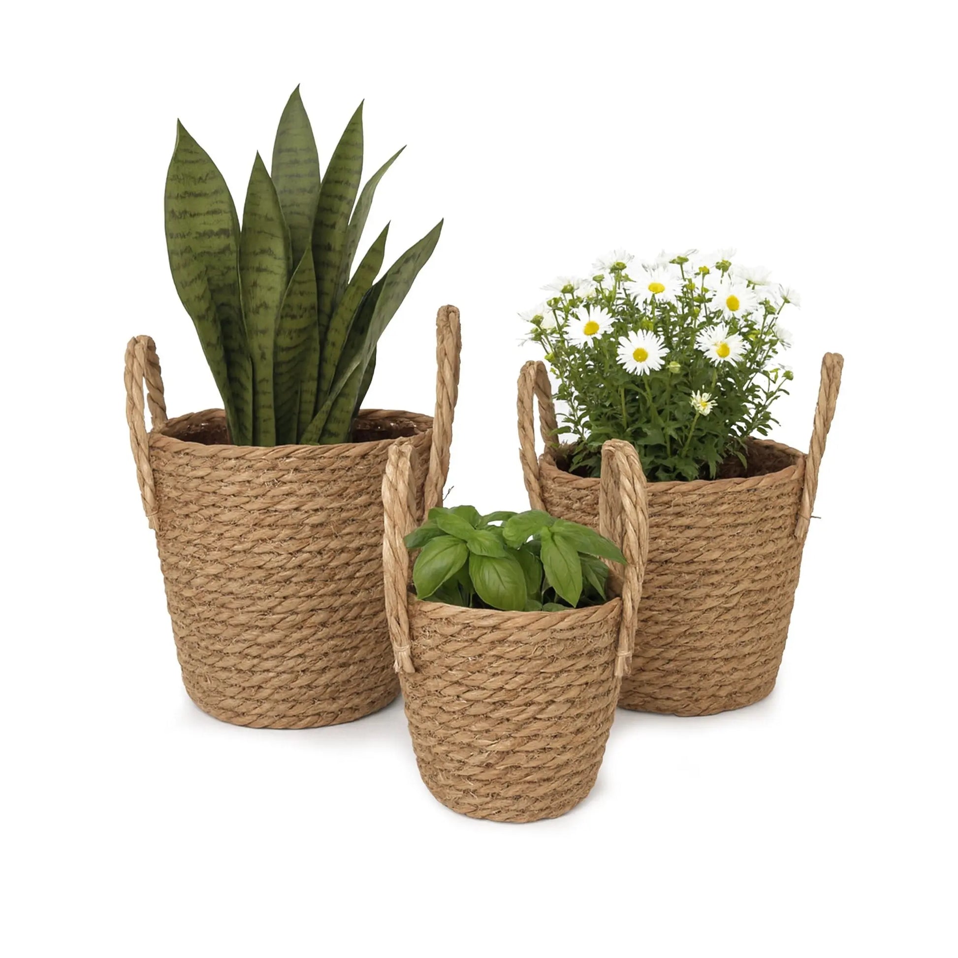 Runder Blumentopf 3er-Set Hellbraun von Relaxdays