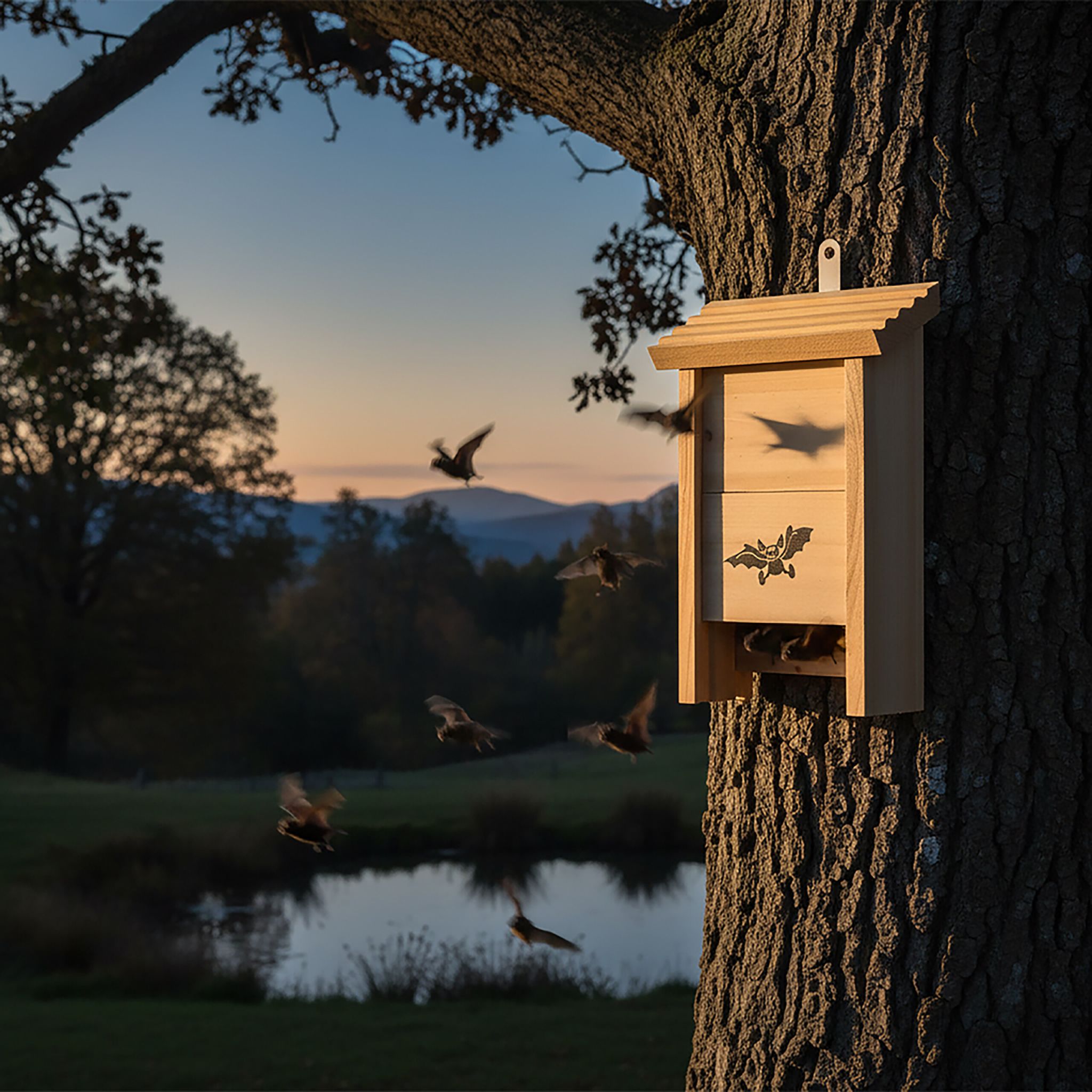 Fledermauskasten 2er-Set Hellbraun von Relaxdays