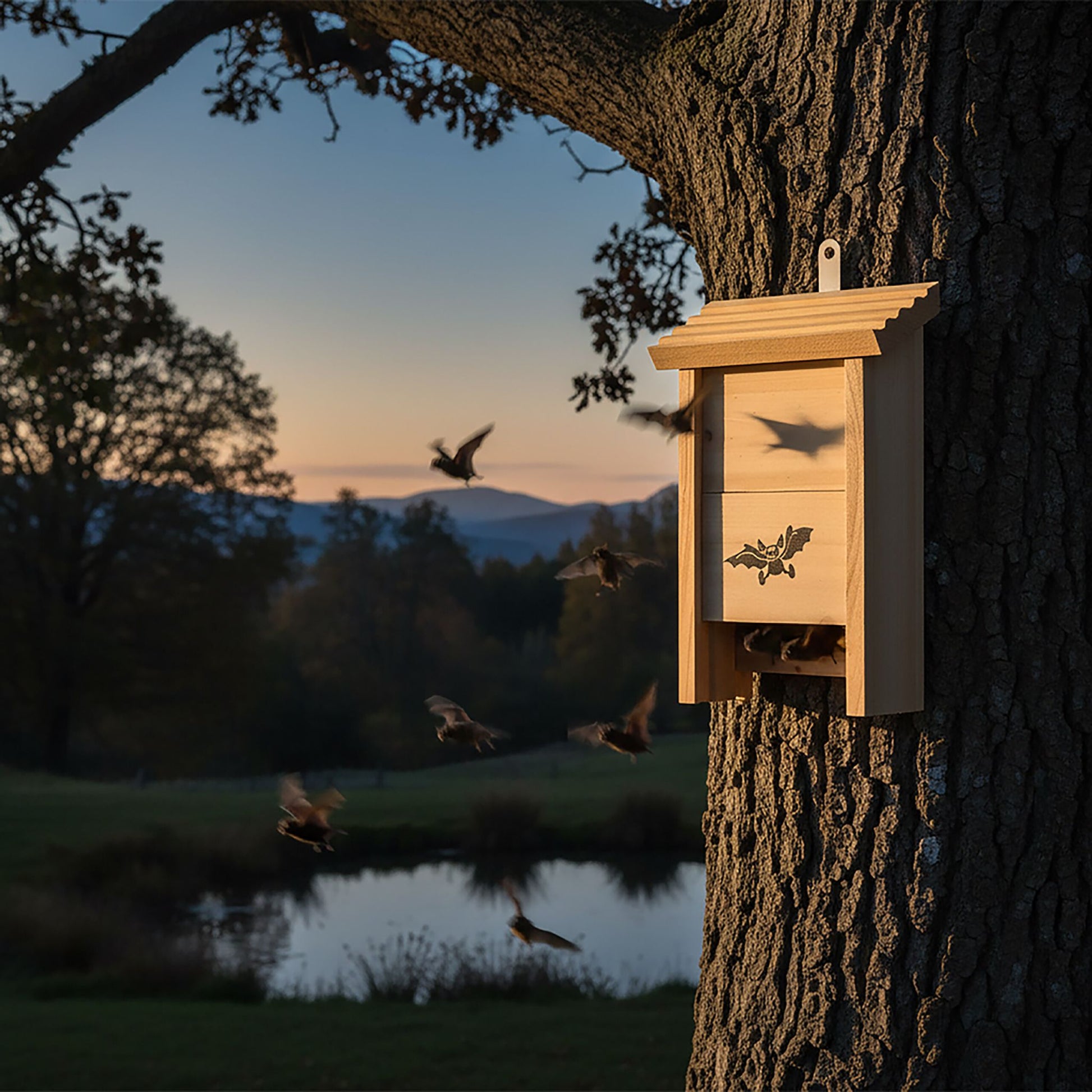 Fledermauskasten 4er-Set Hellbraun von Relaxdays