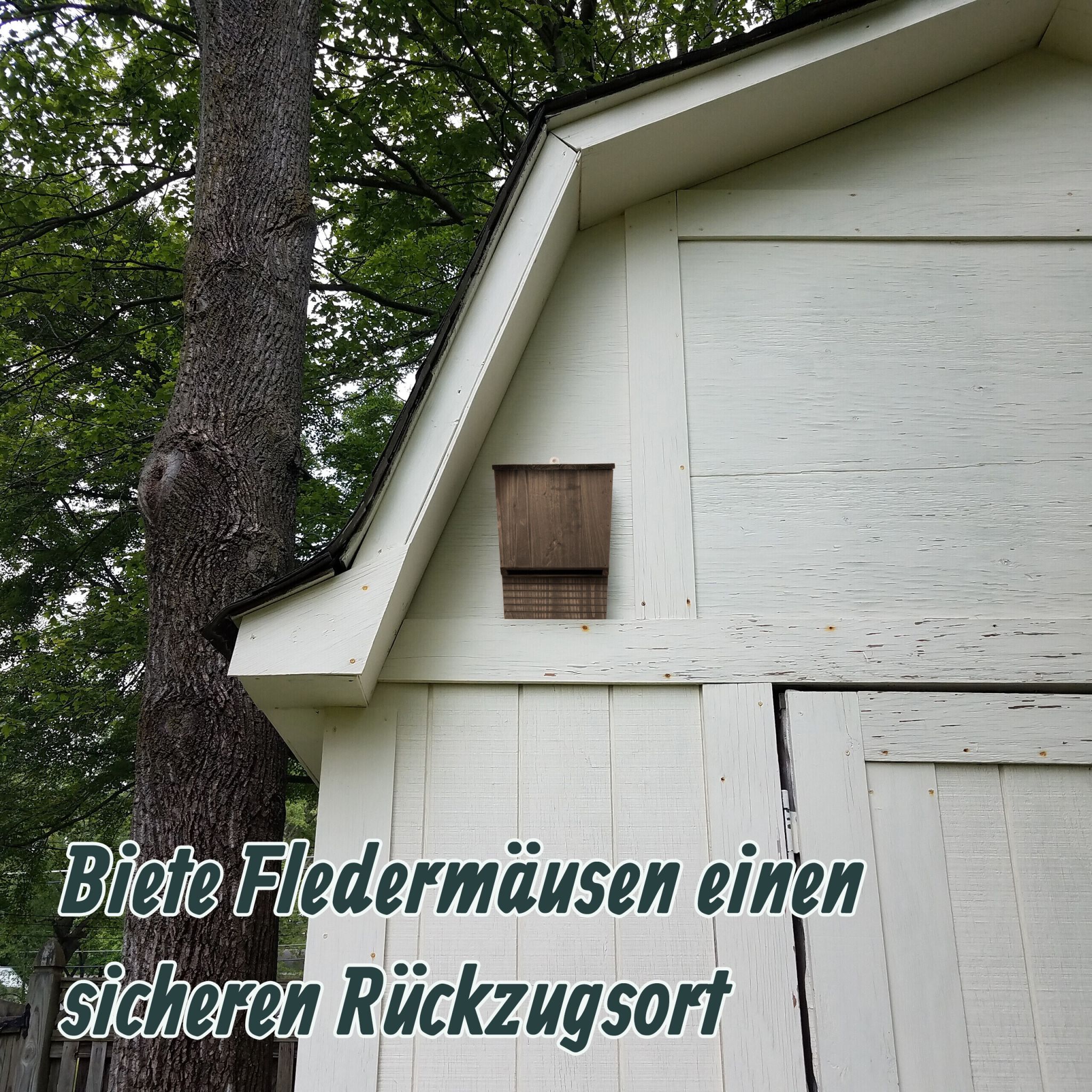 Brauner Fledermauskasten 2er-Set Dunkelbraun von Relaxdays